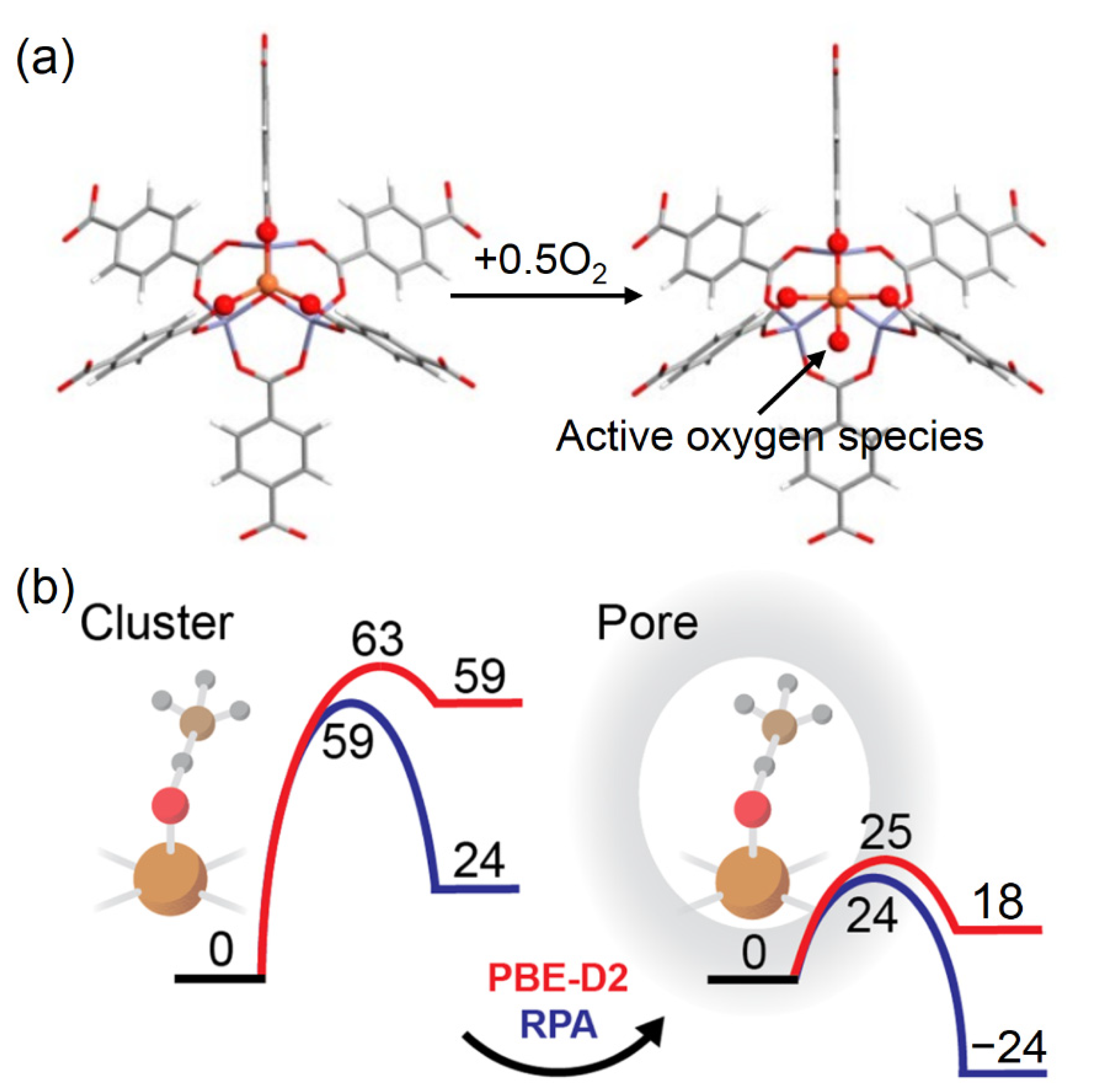 Catalysts 13 01226 g012