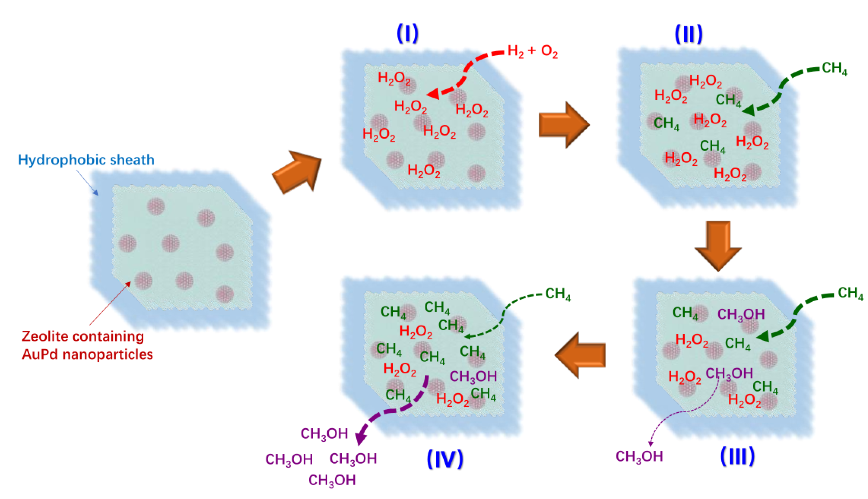 Catalysts 13 01226 g016