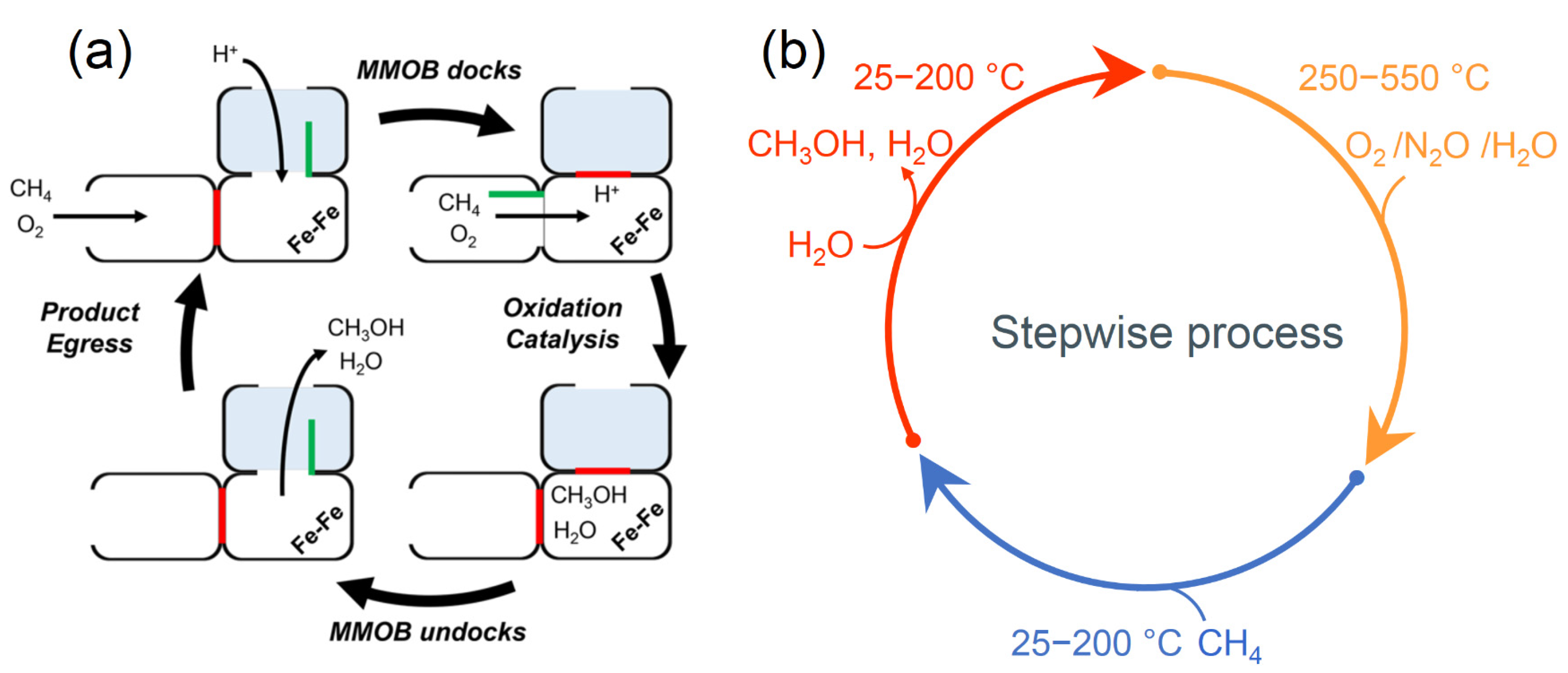 Catalysts 13 01226 g018