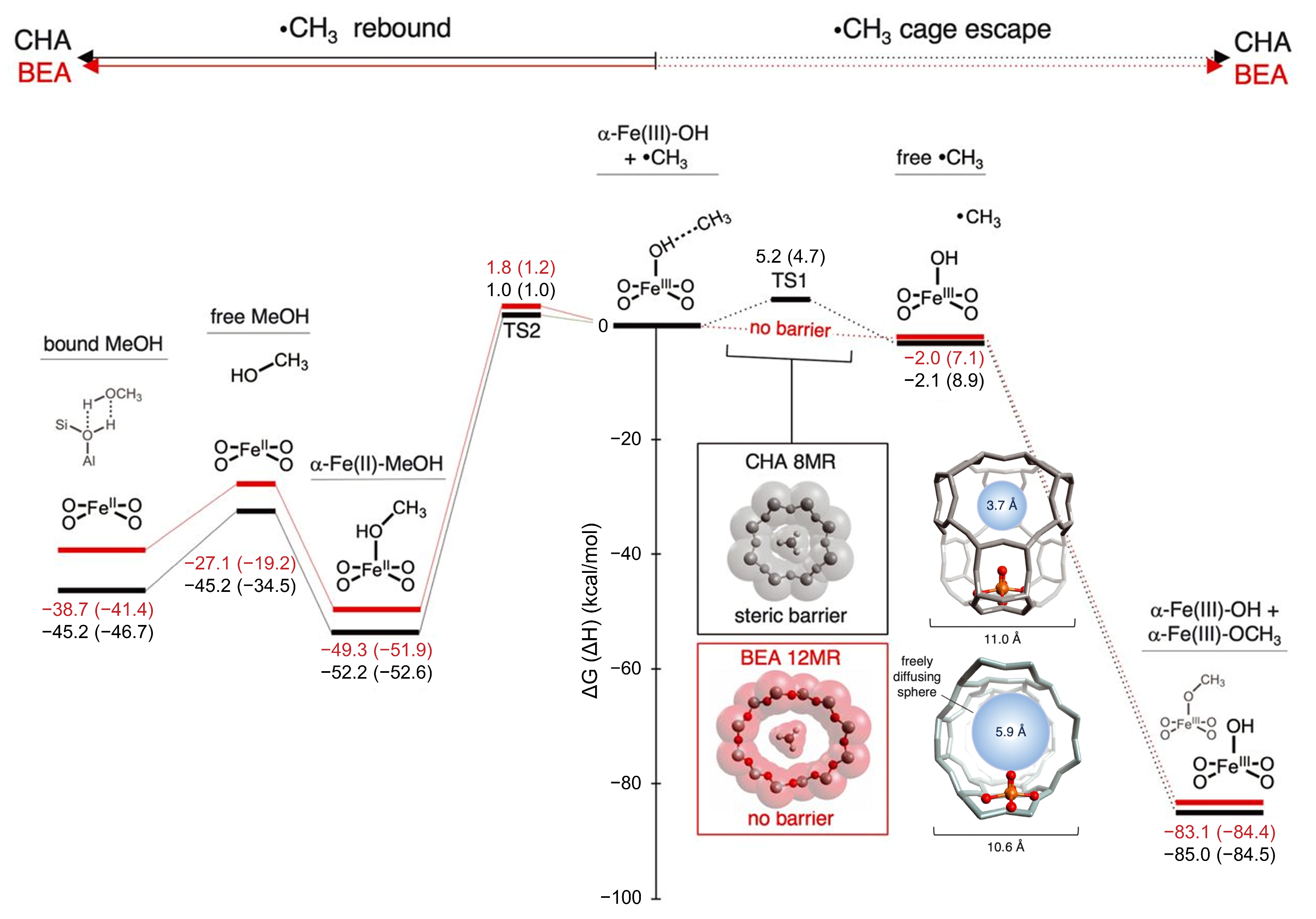 Catalysts 13 01226 g020