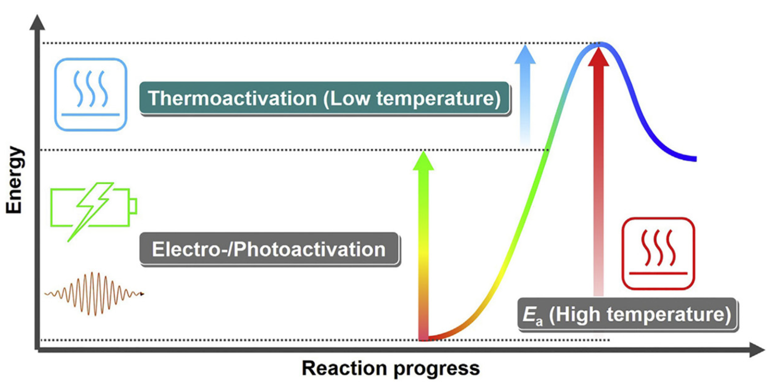 Catalysts 13 01226 g023