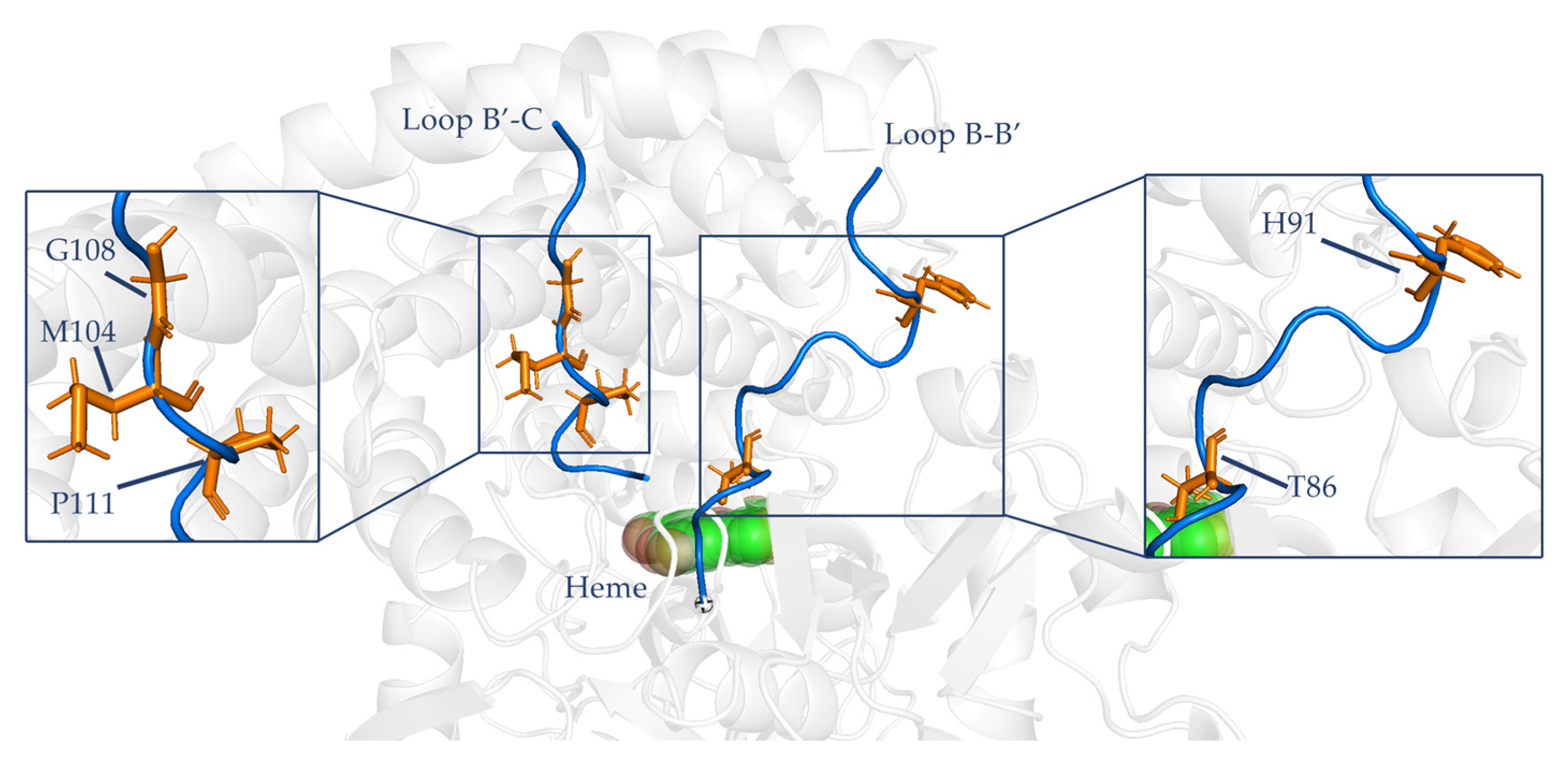 Catalysts 13 01228 g005 Catalysts 13 01228 g005