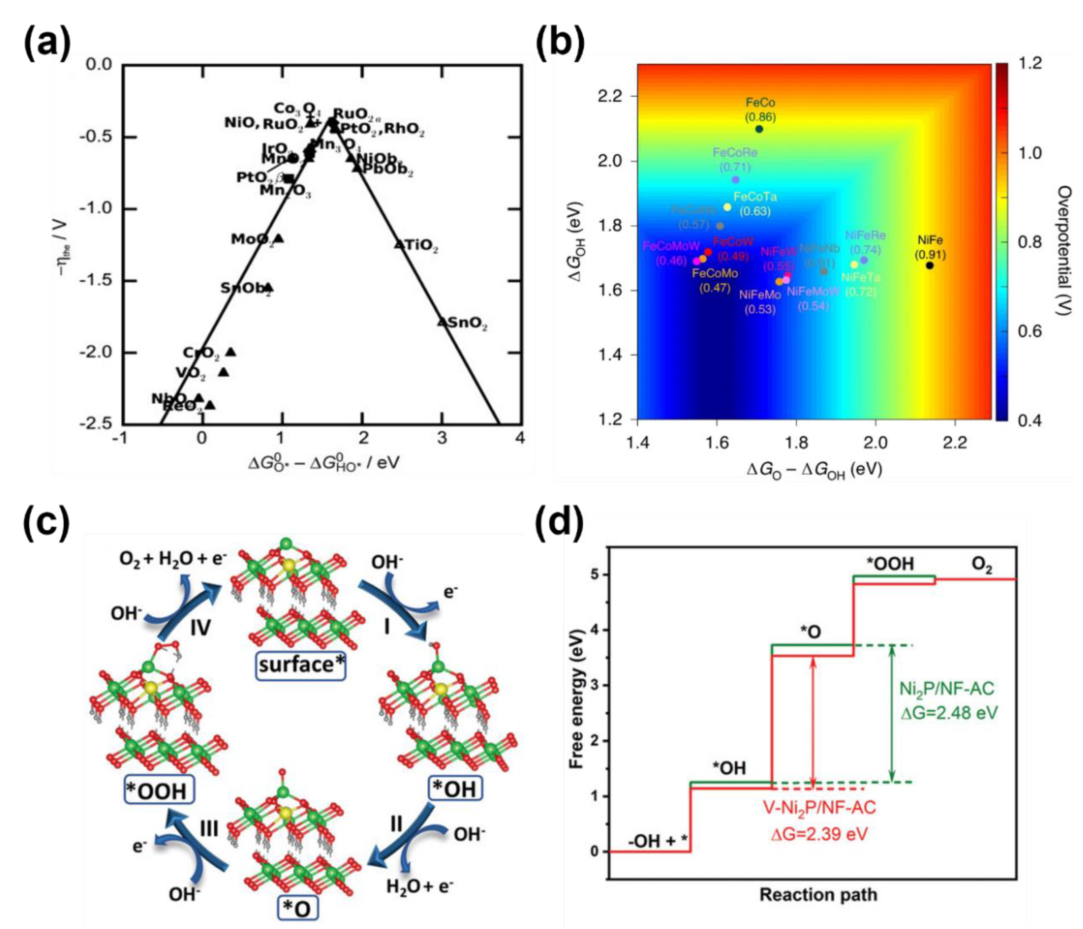 Catalysts 13 01230 g002