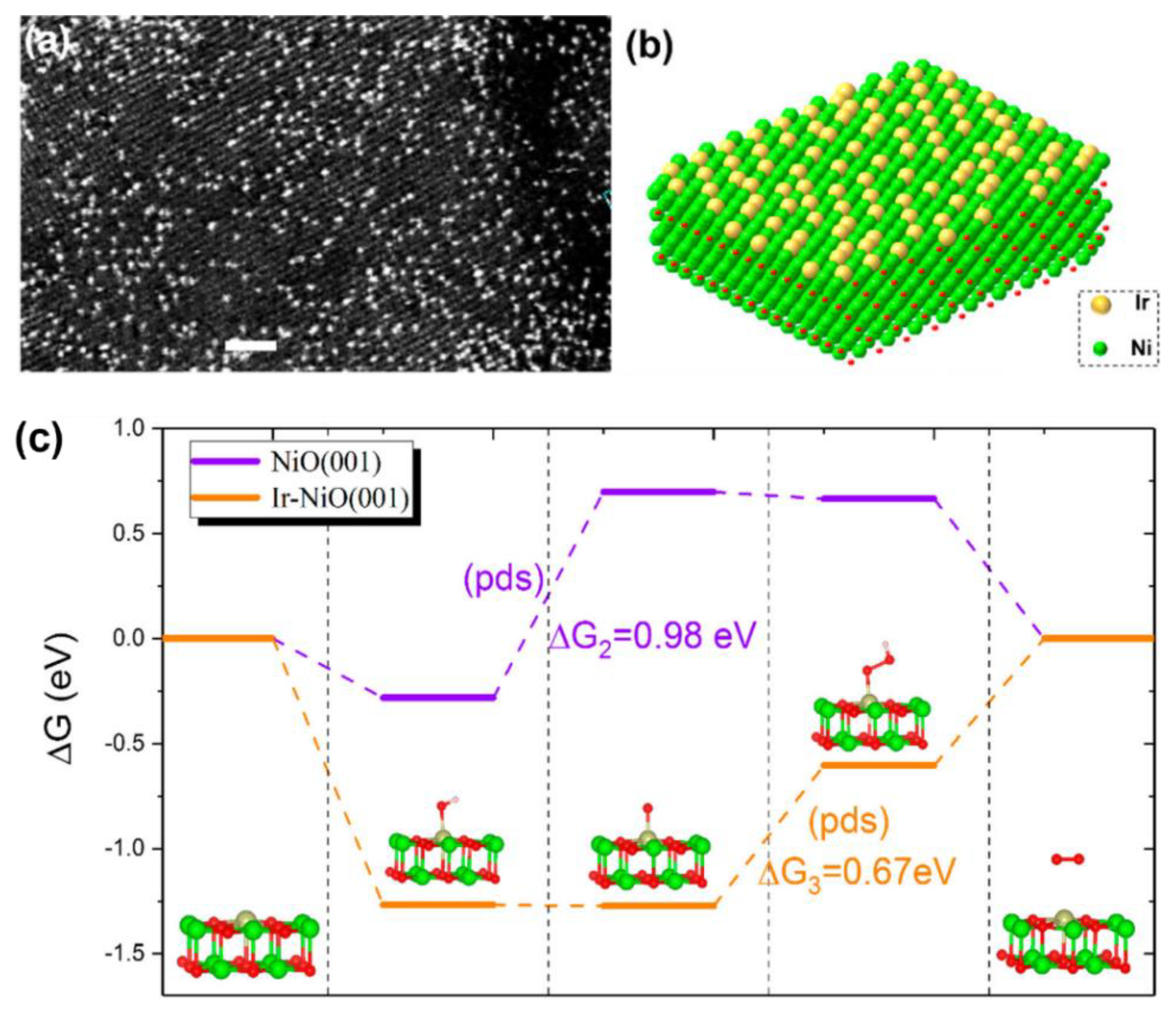 Catalysts 13 01230 g003