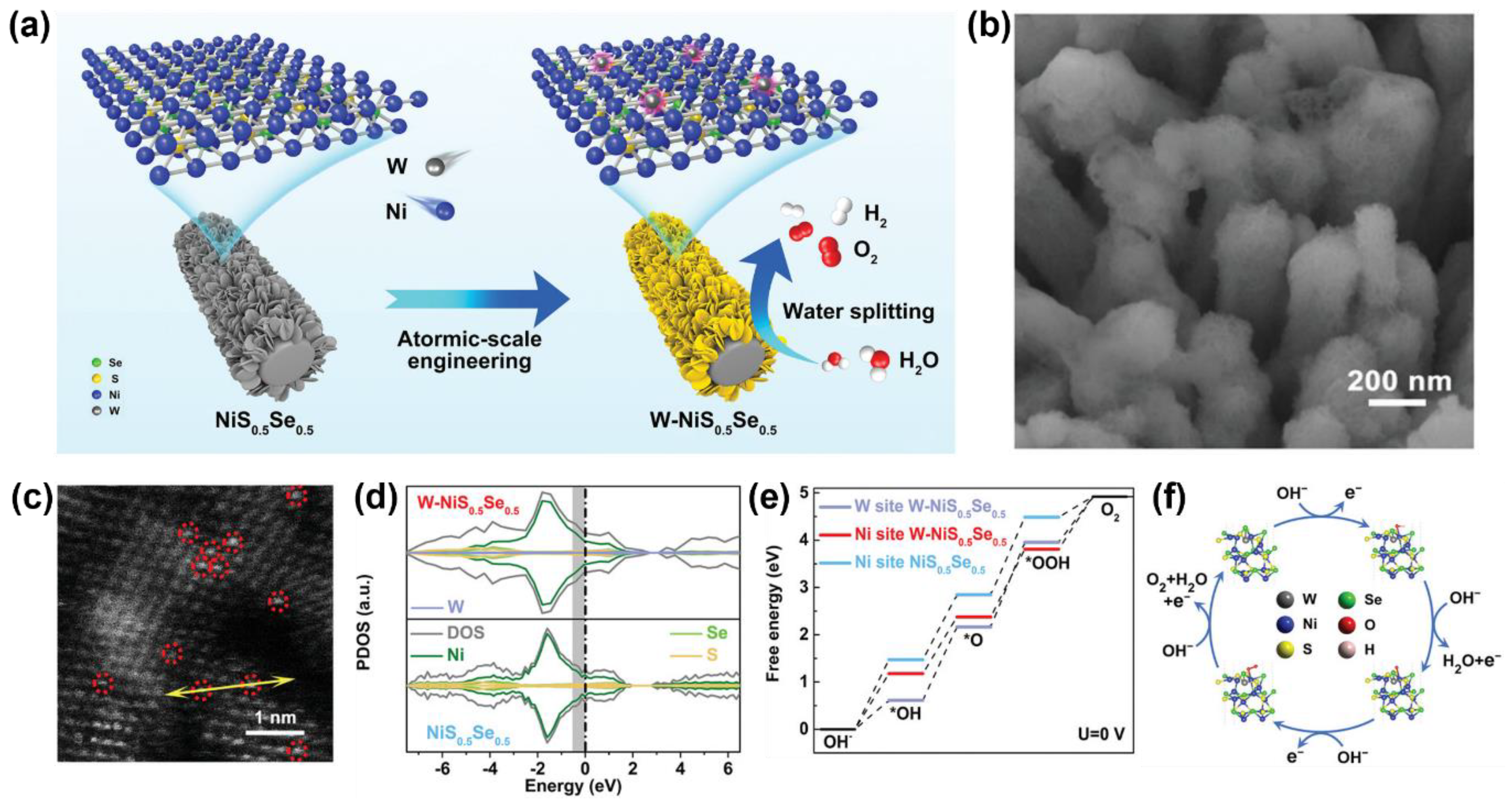 Catalysts 13 01230 g007