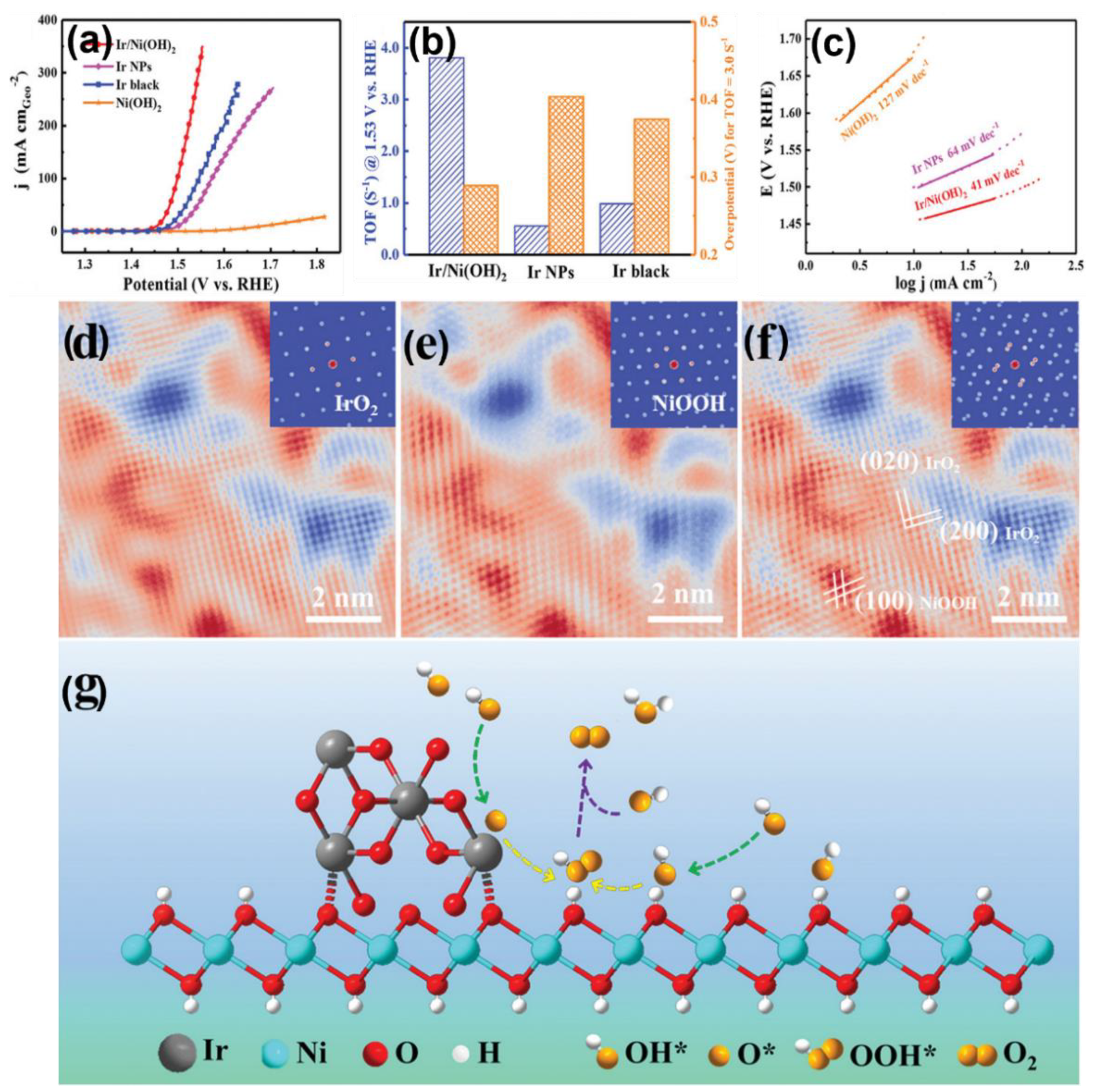 Catalysts 13 01230 g008