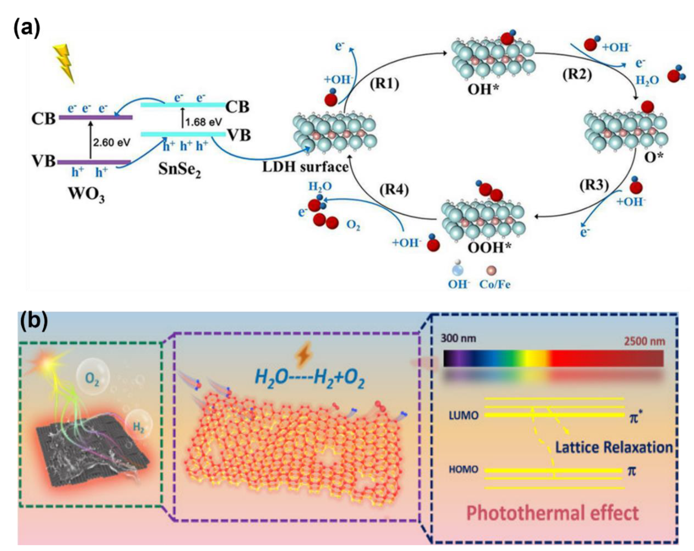 Catalysts 13 01230 g010