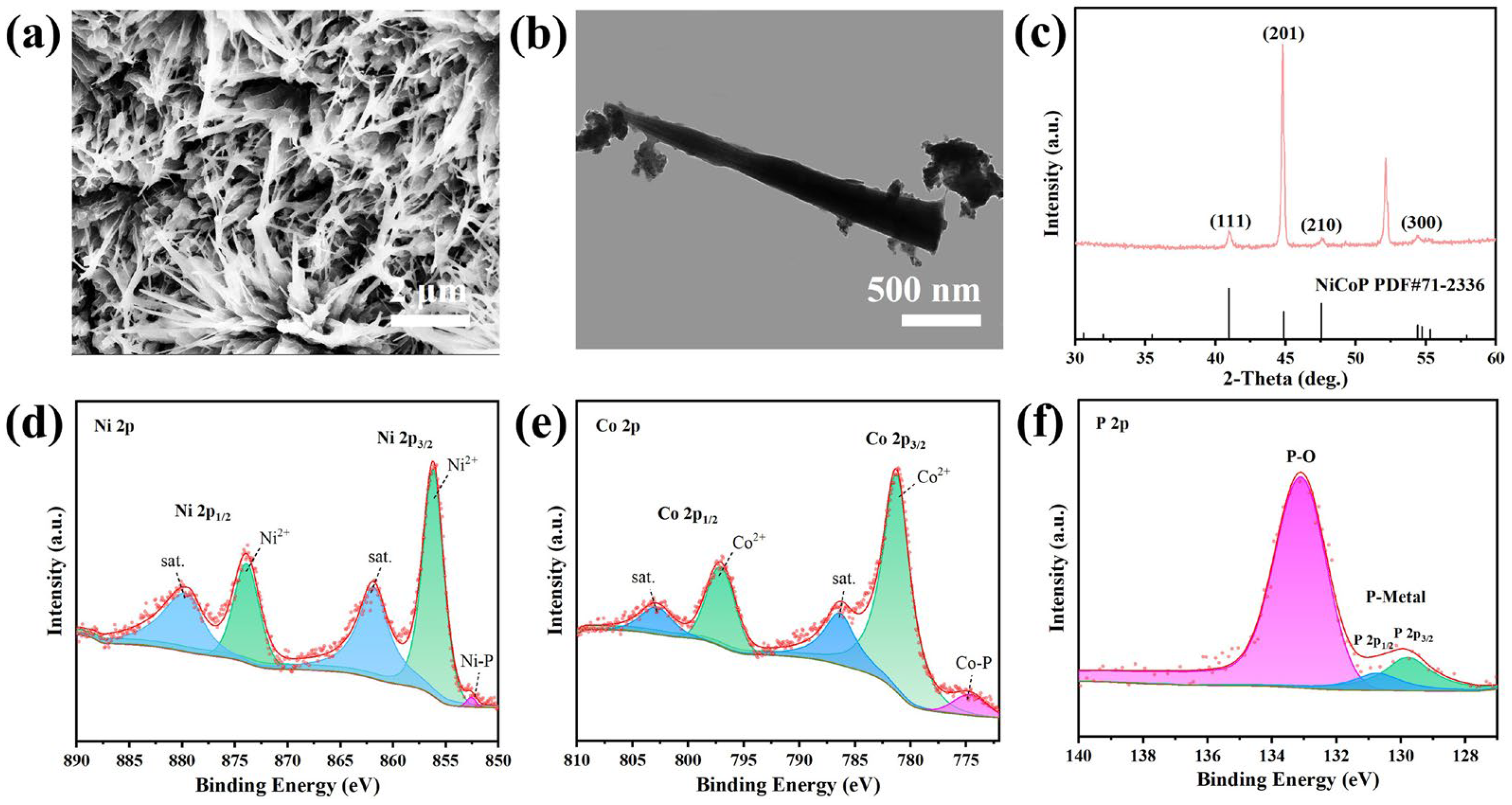 Catalysts 13 01232 g005
