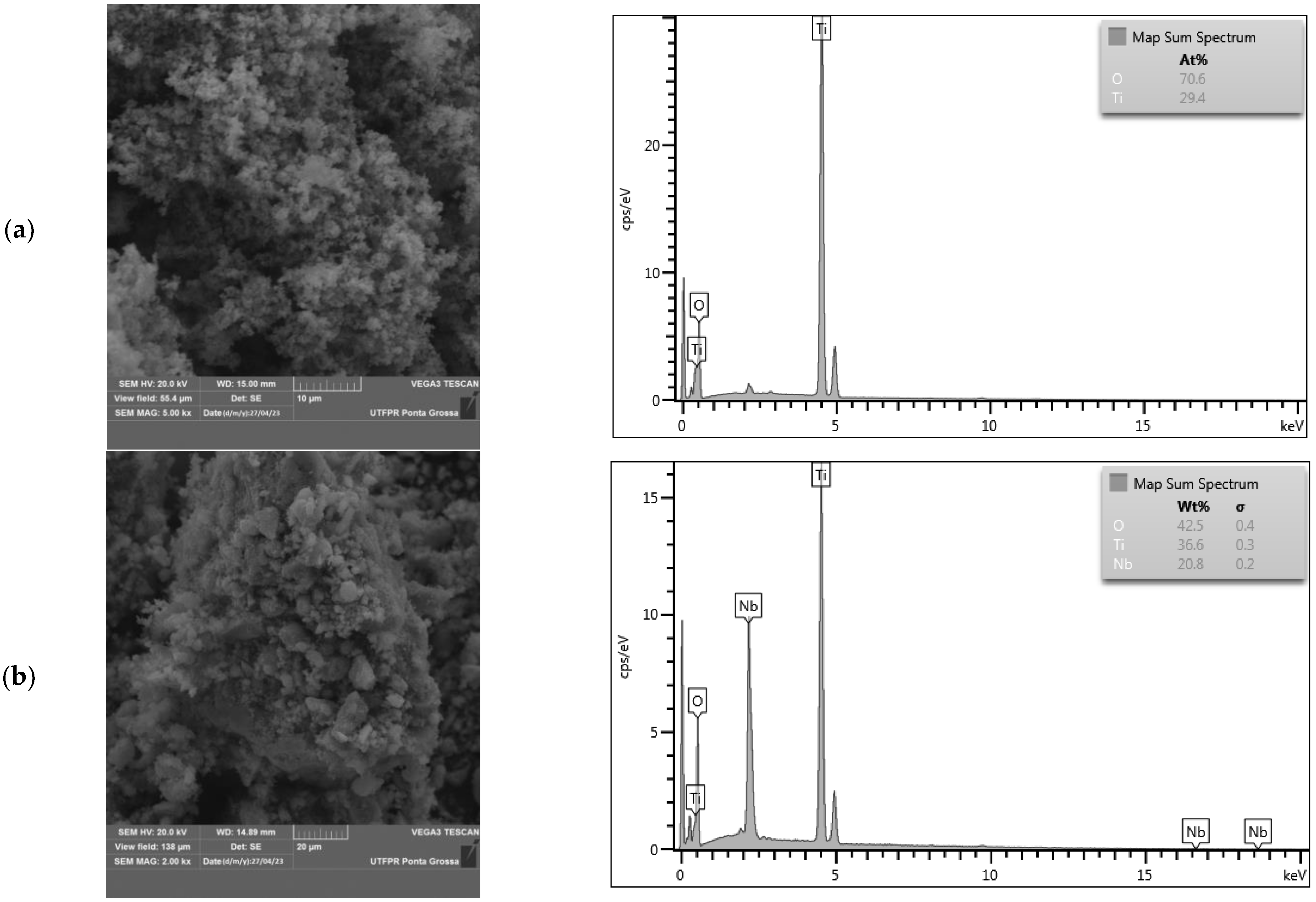 Catalysts 13 01233 g001 Catalysts 13 01233 g001