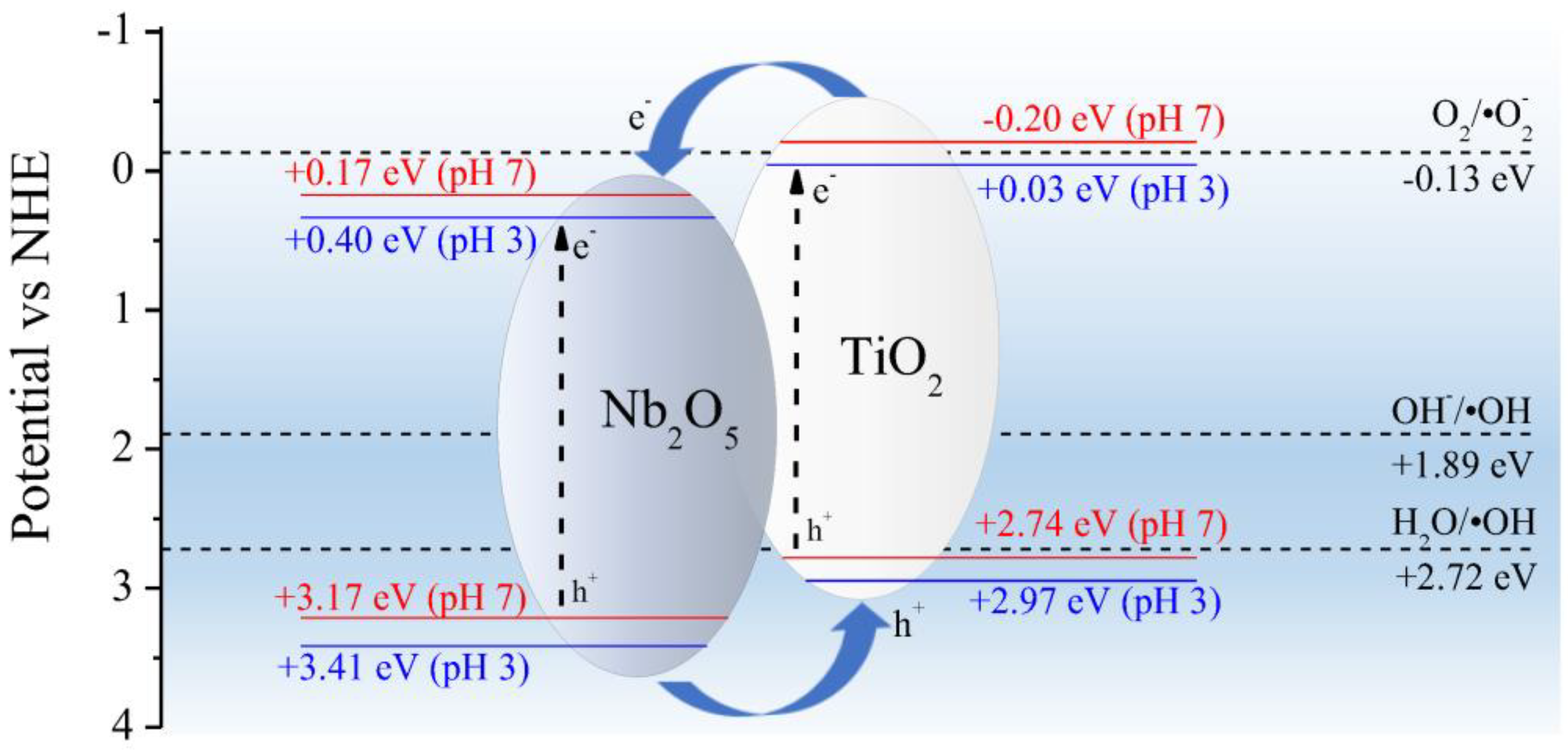Catalysts 13 01233 g012 Catalysts 13 01233 g012