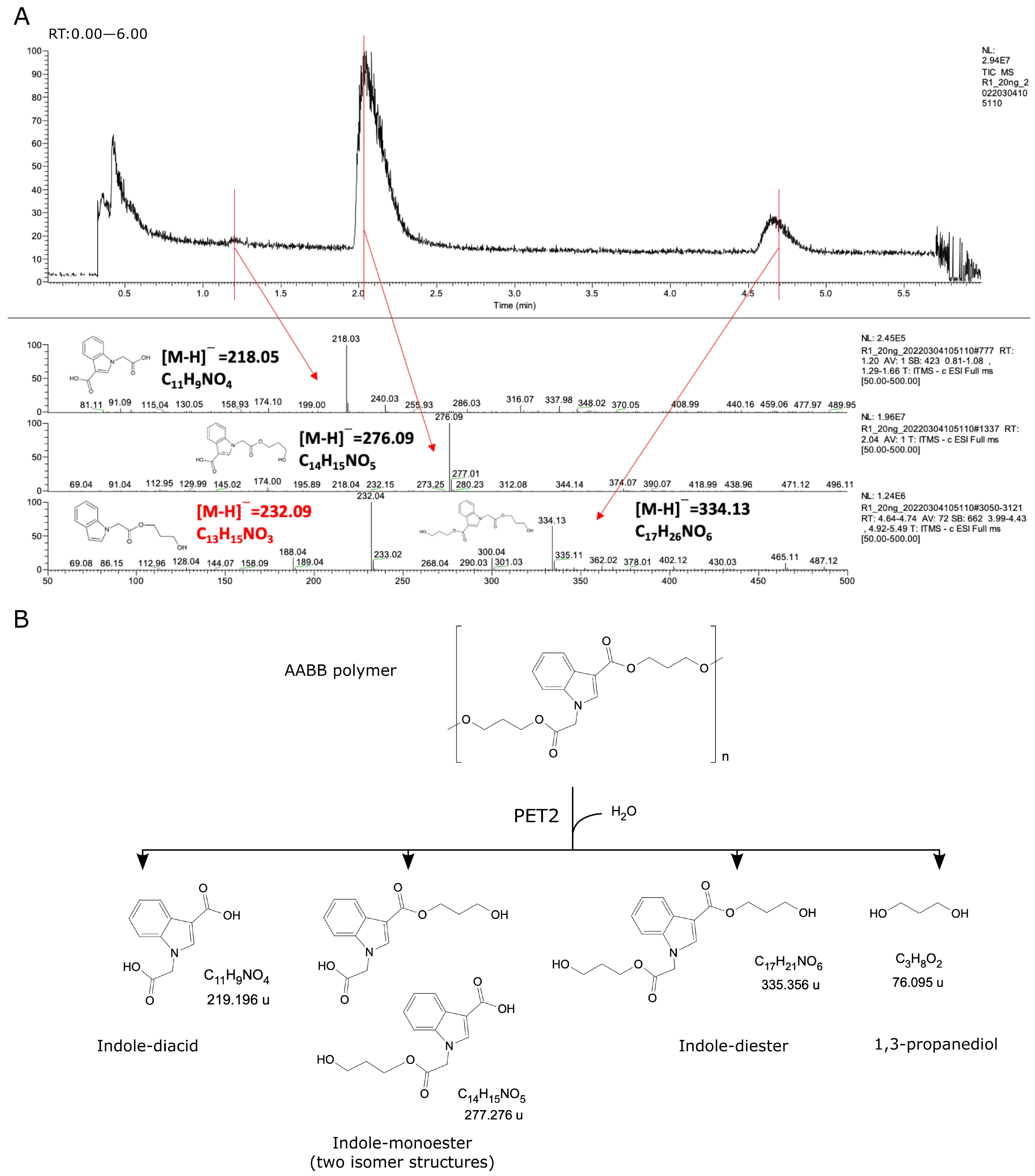 Catalysts 13 01234 g005