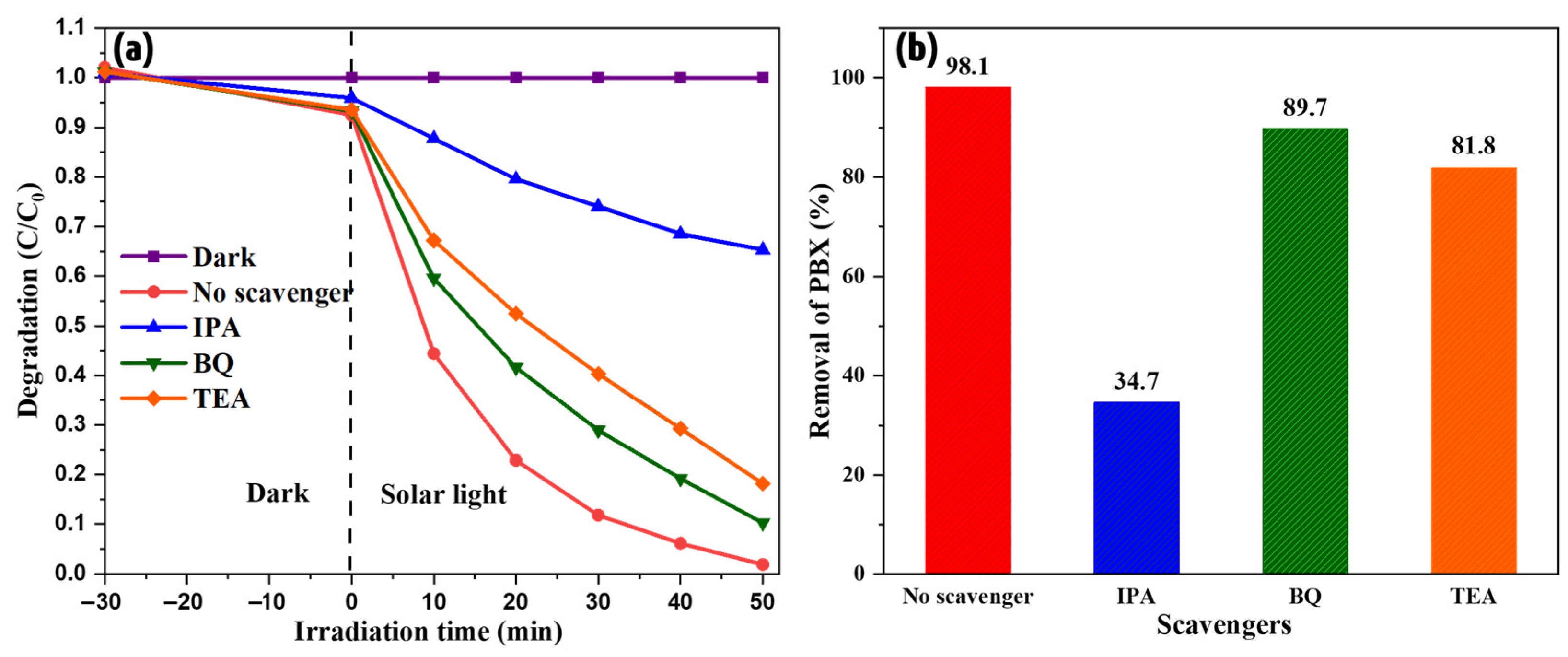 Catalysts 13 01238 g008