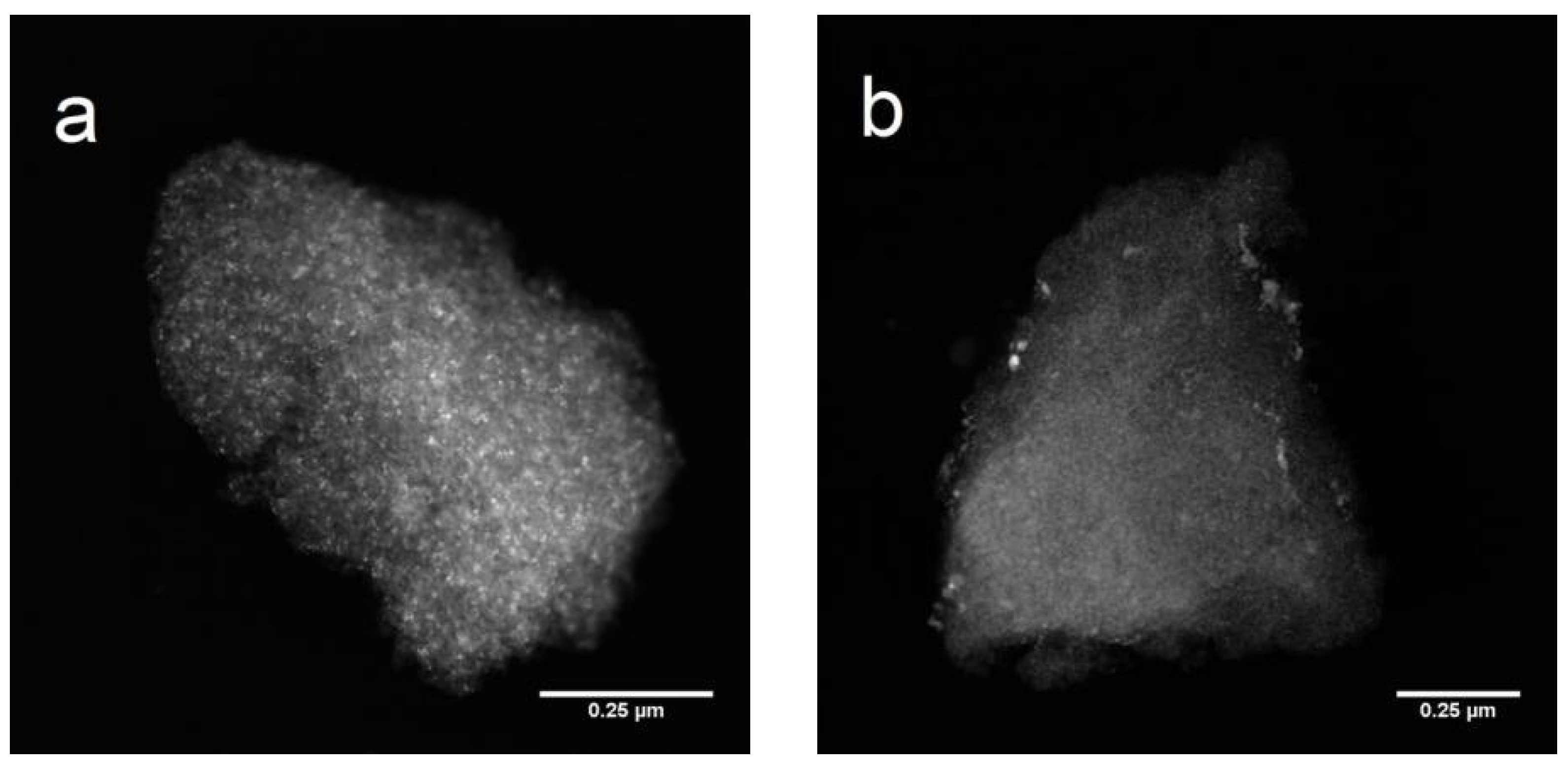 Catalysts 13 01239 g005