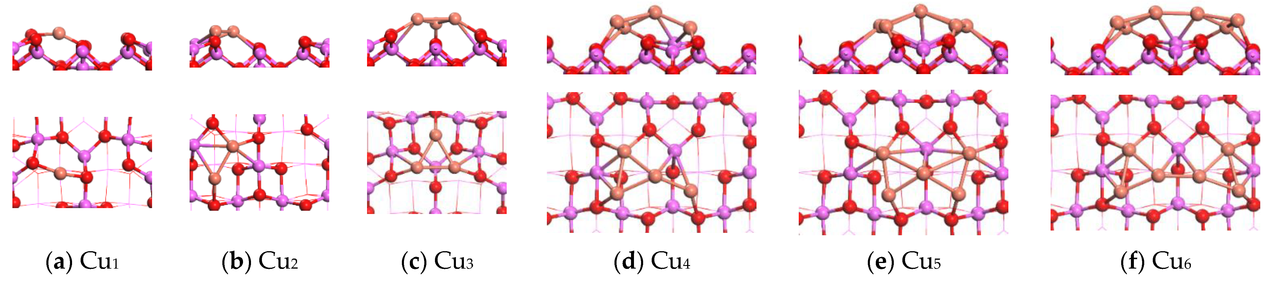 Catalysts 13 01244 g005