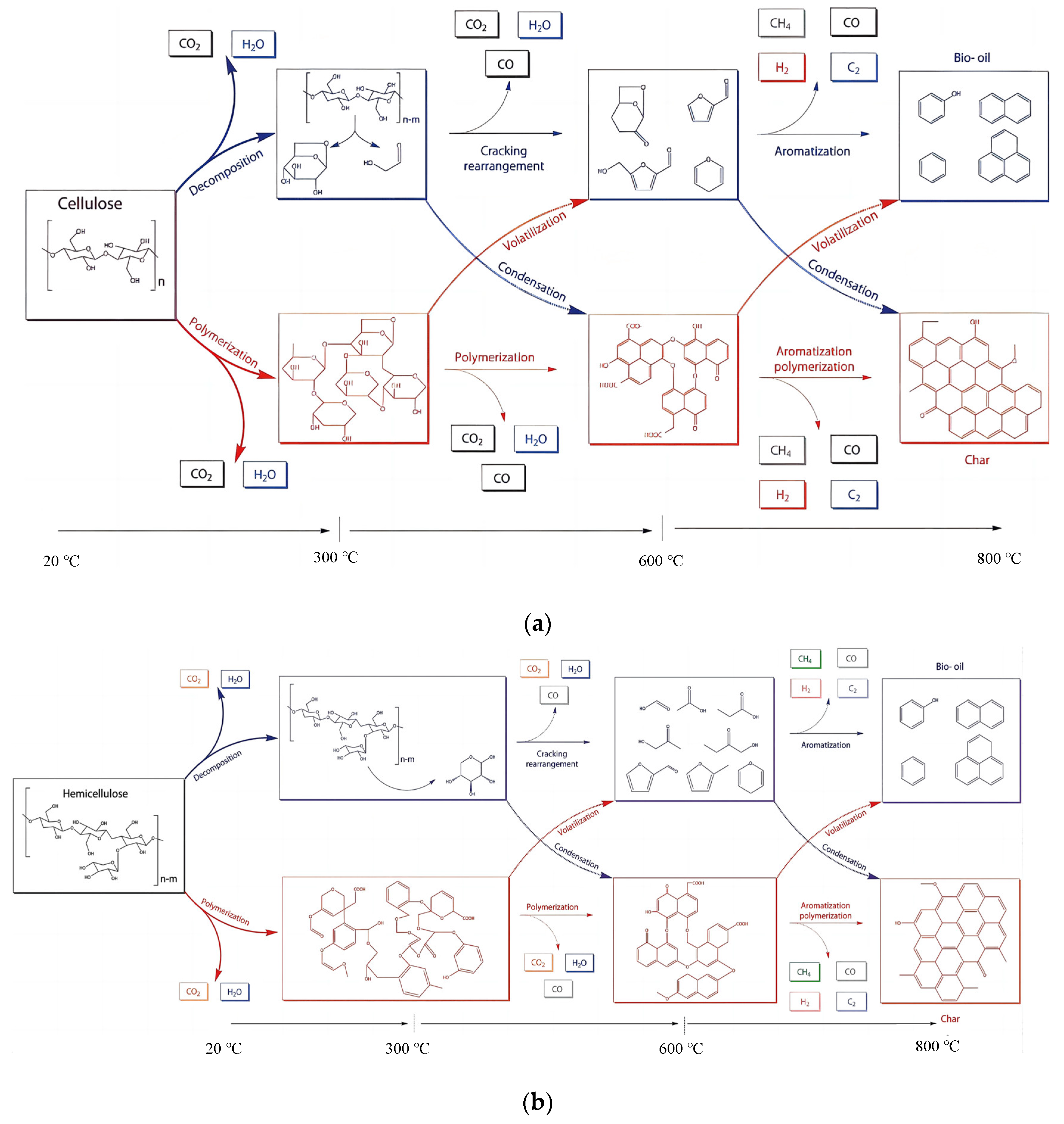 Catalysts 13 01247 g001a