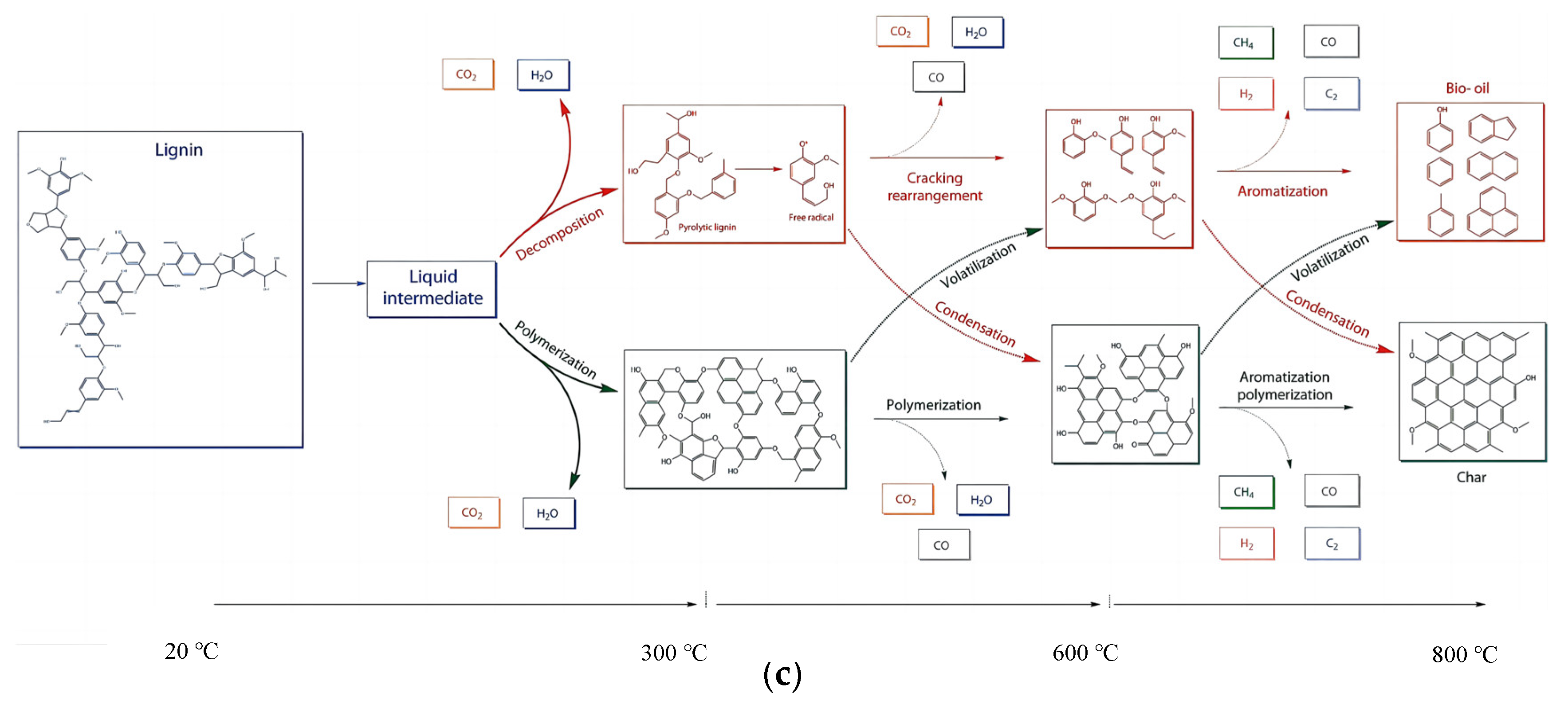 Catalysts 13 01247 g001b