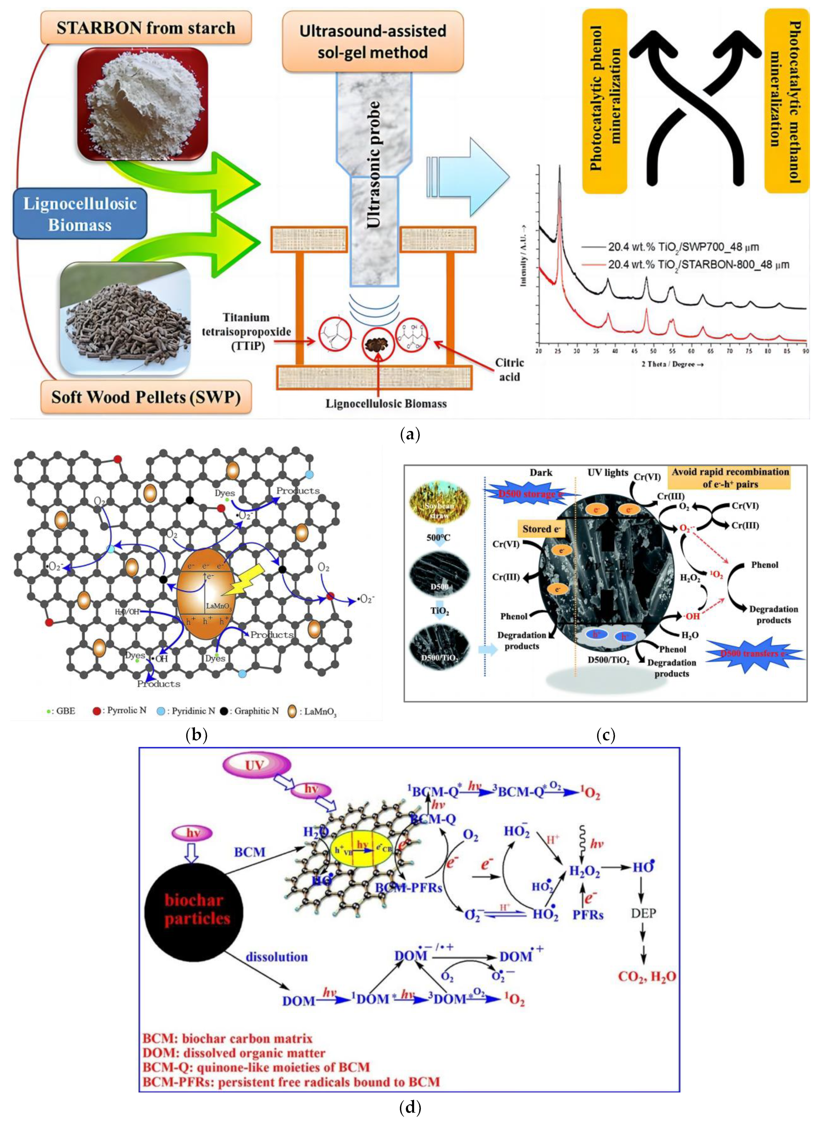 Catalysts 13 01247 g002