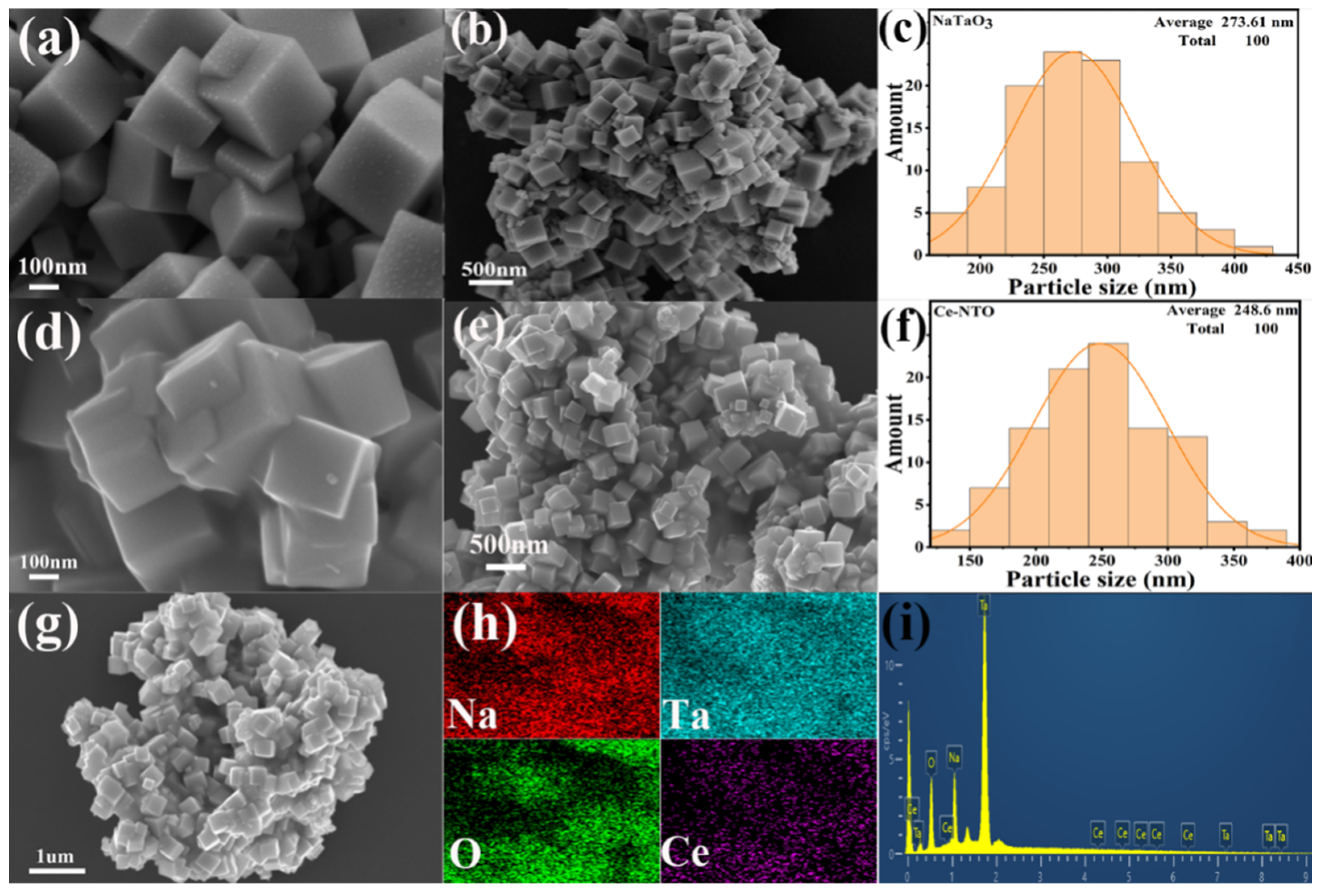 Catalysts 13 01250 g004