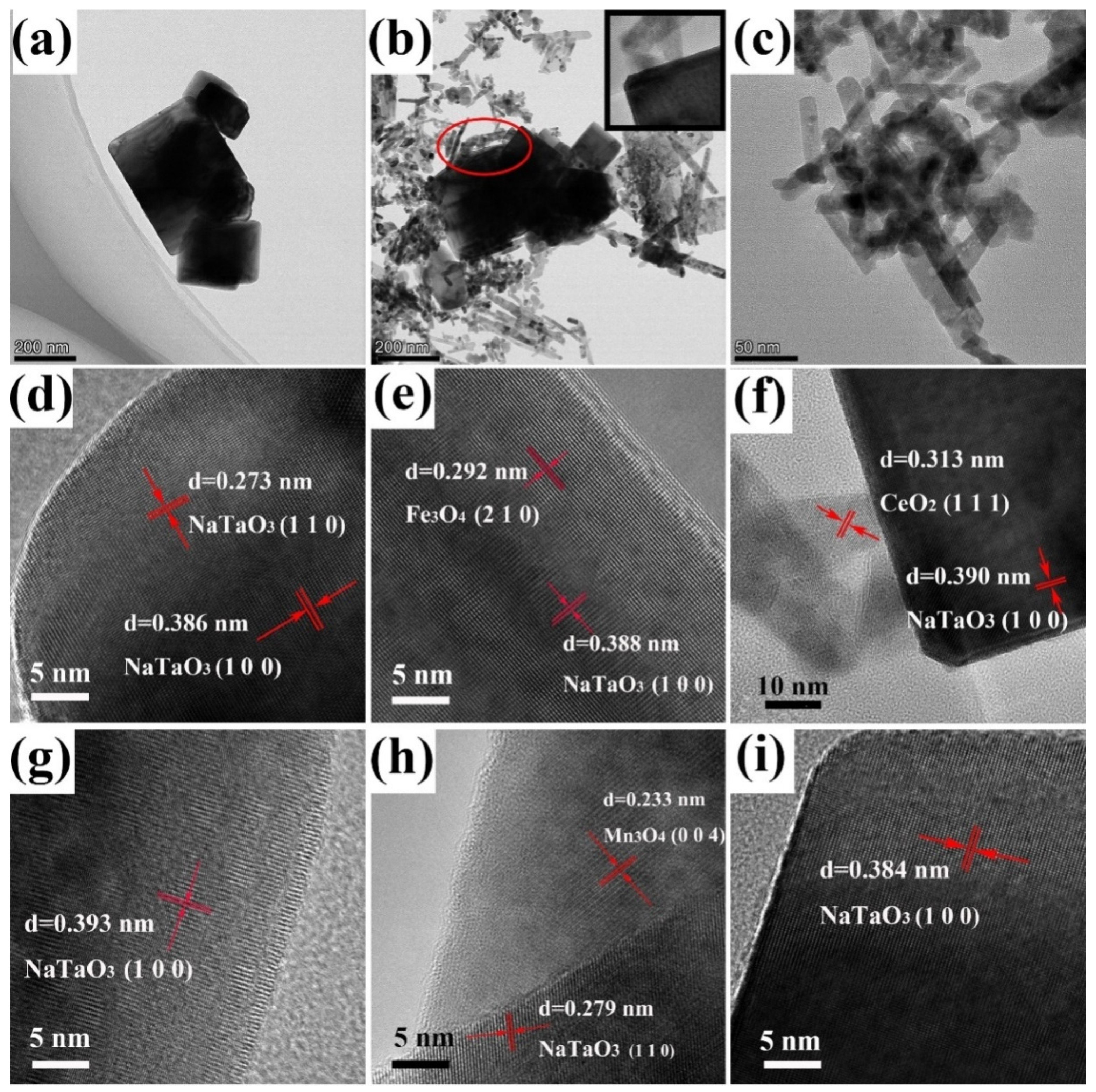 Catalysts 13 01250 g005