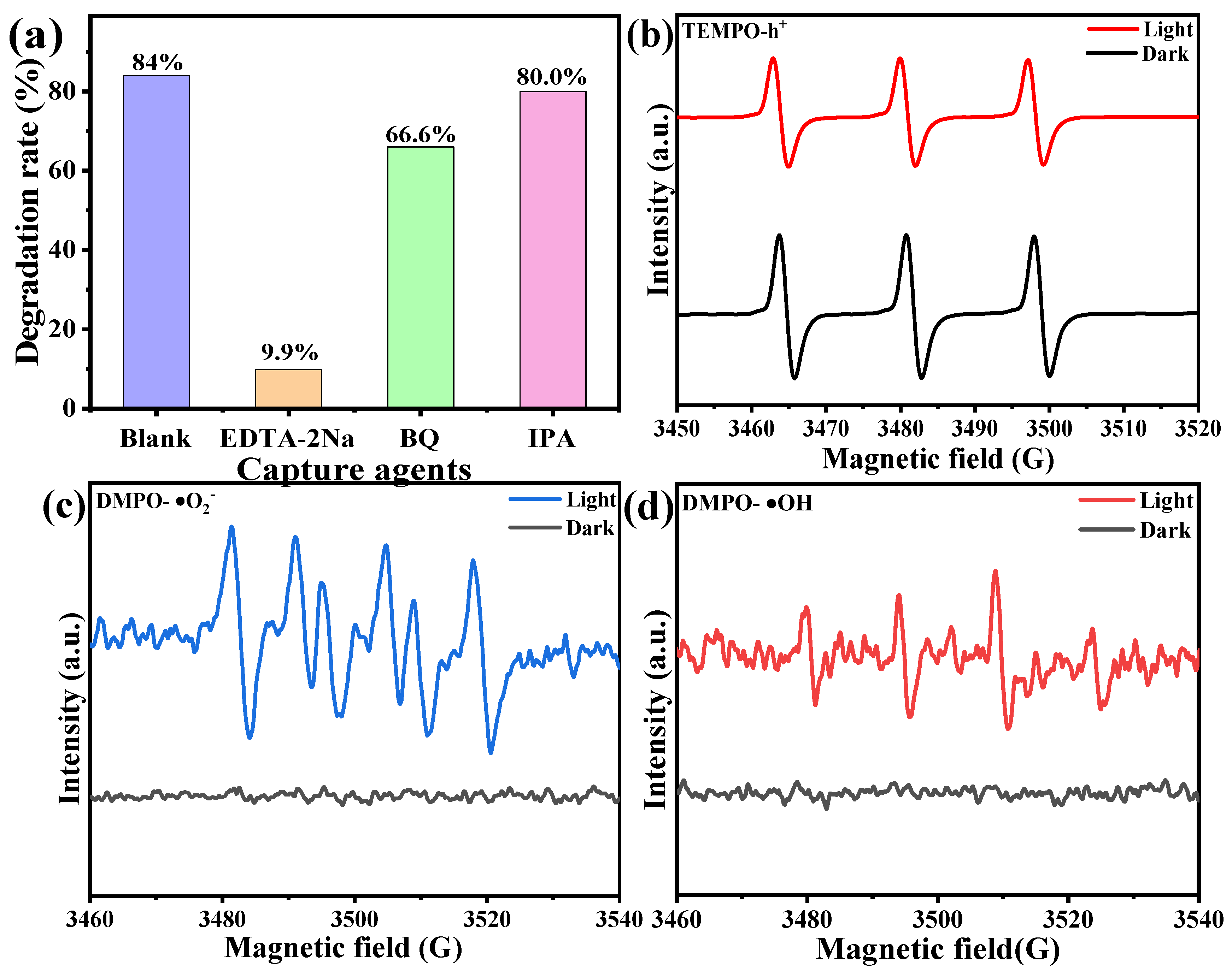 Catalysts 13 01250 g010