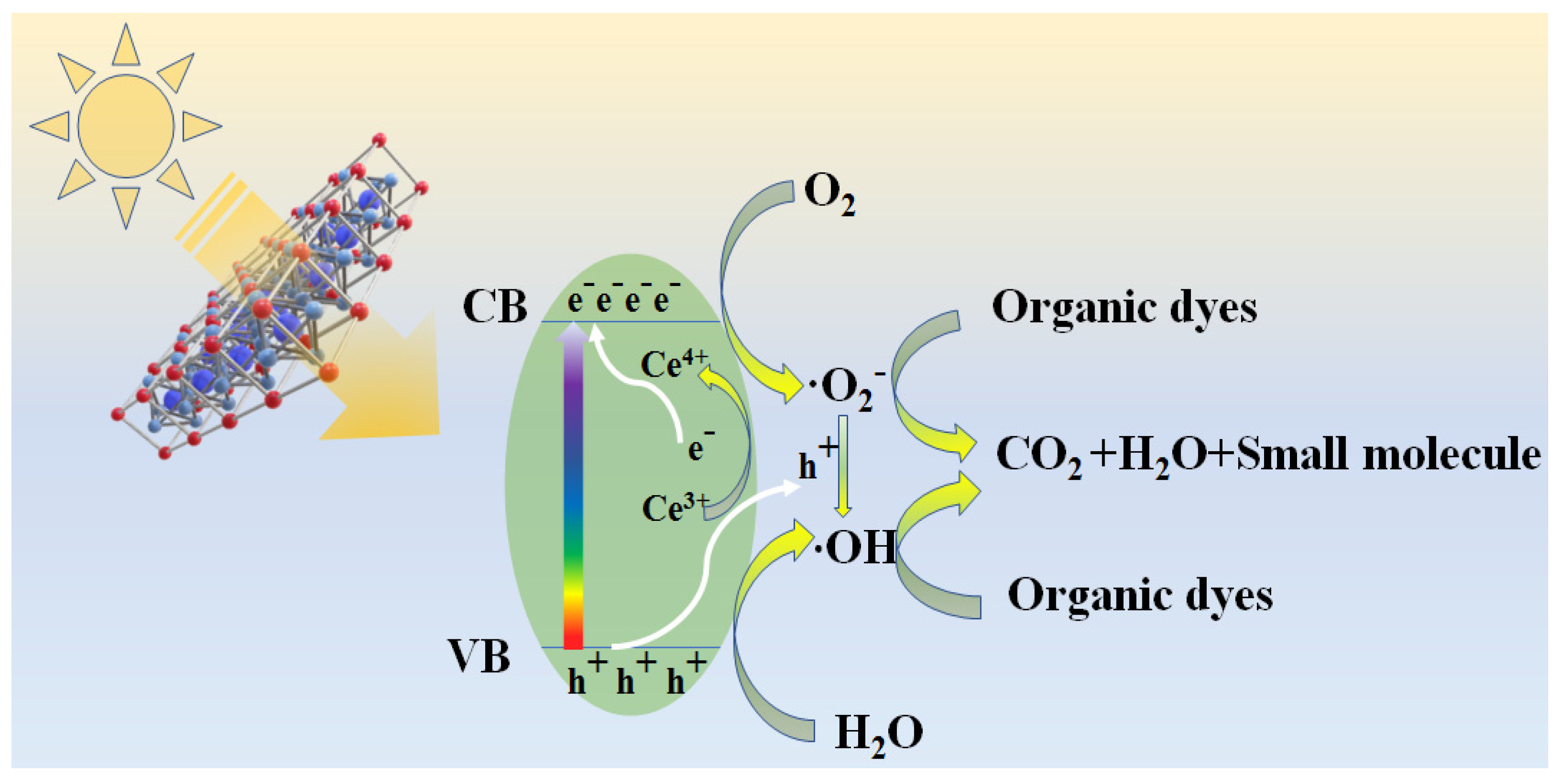 Catalysts 13 01250 g011