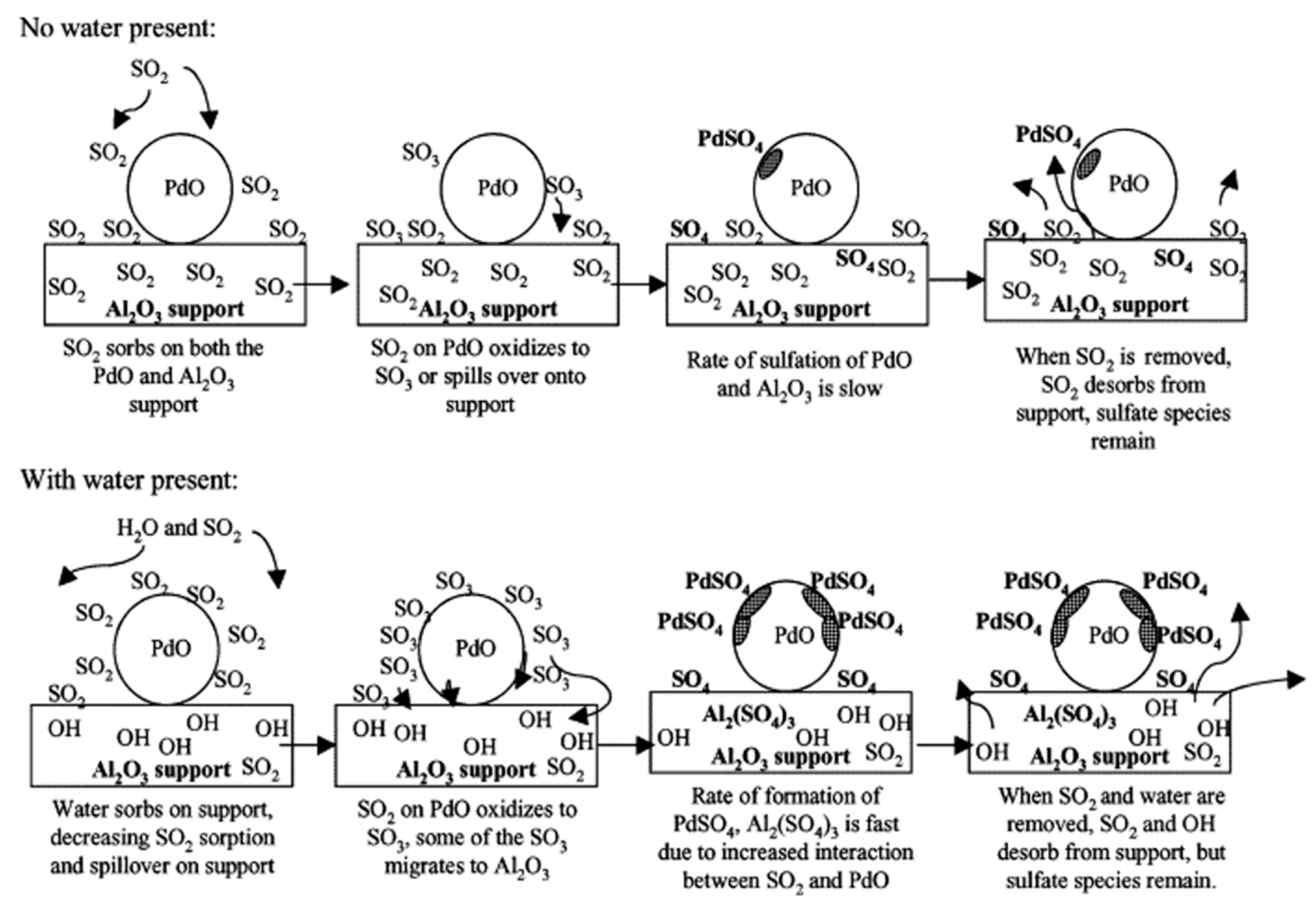 Catalysts 13 01251 g008 Catalysts 13 01251 g008