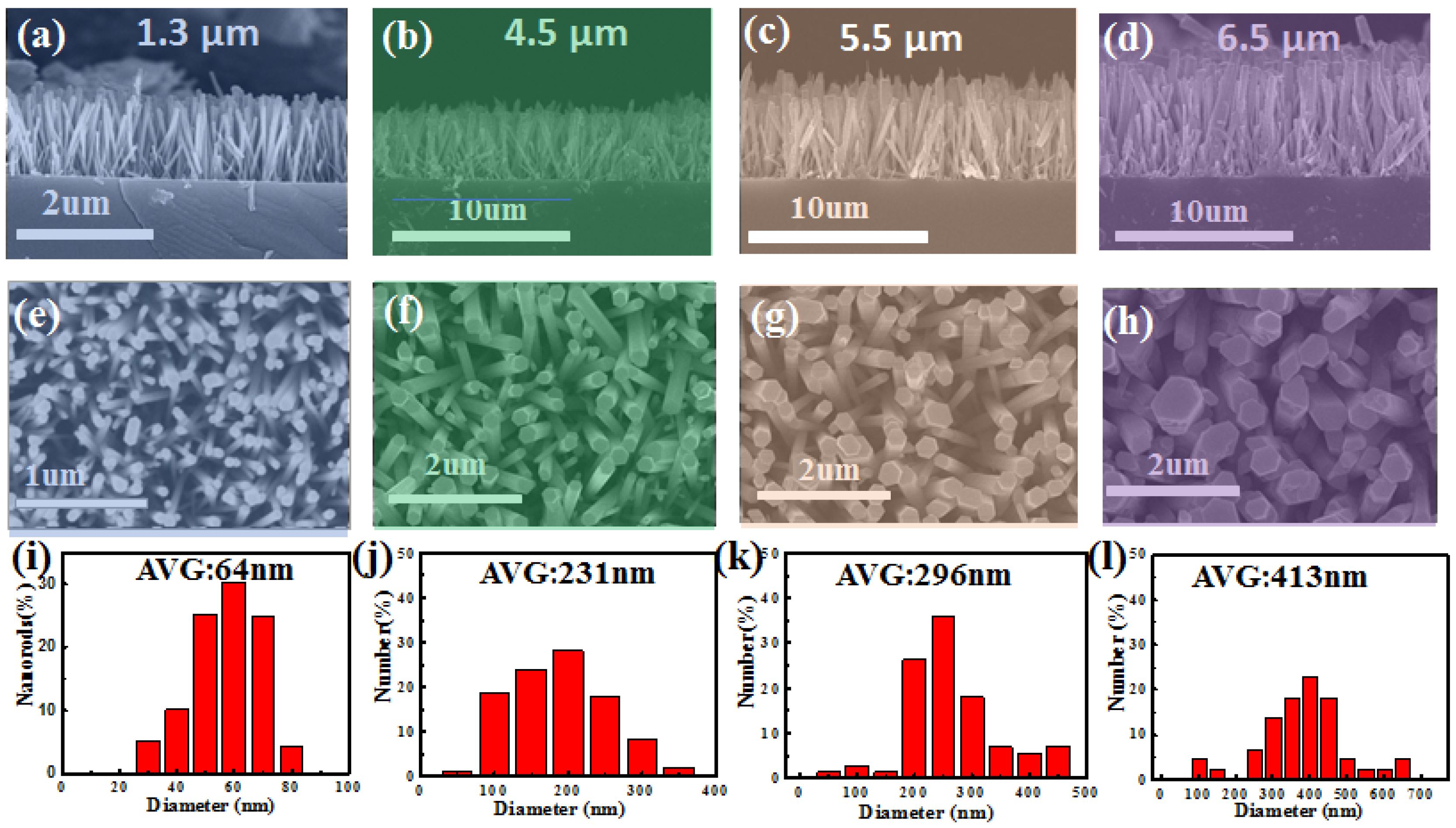 Catalysts 13 01254 g001