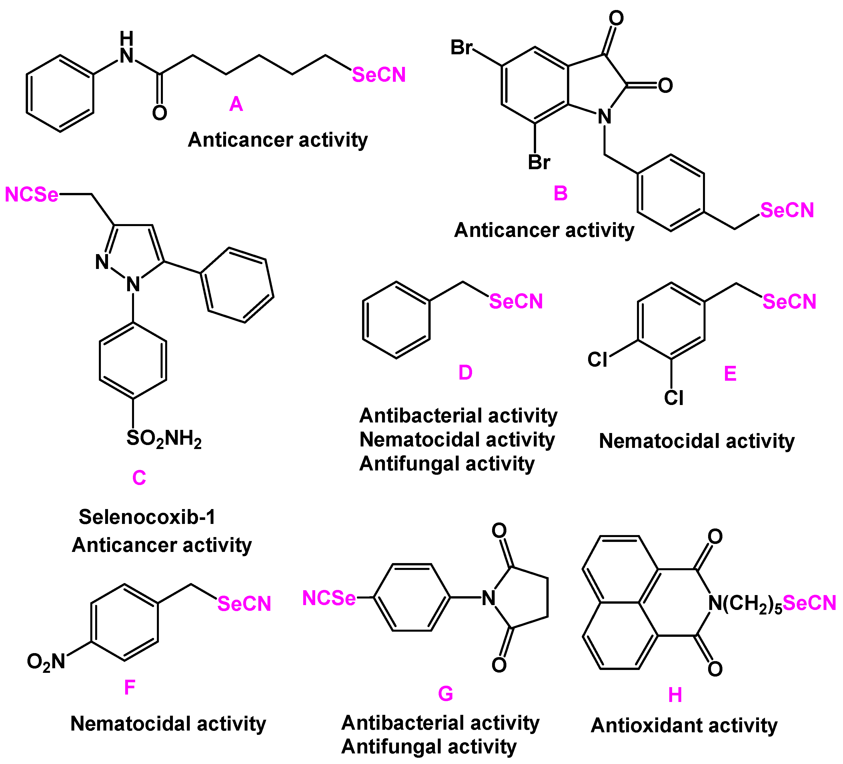 Catalysts 13 01257 g001
