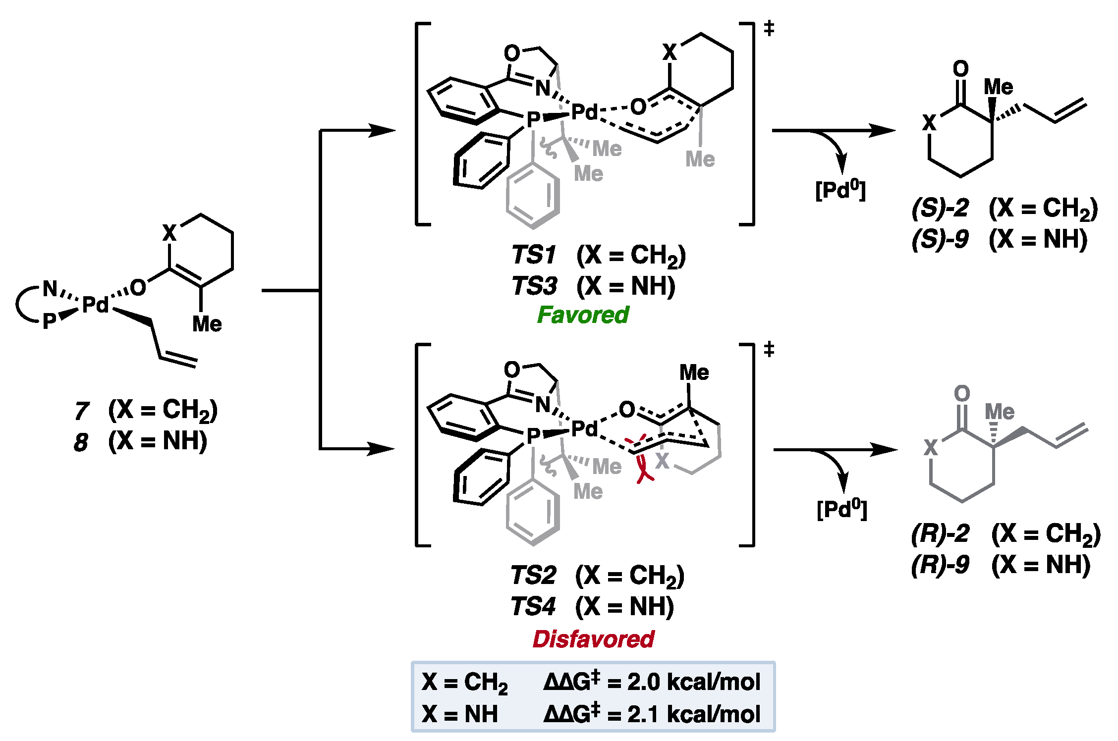 Catalysts 13 01258 g003