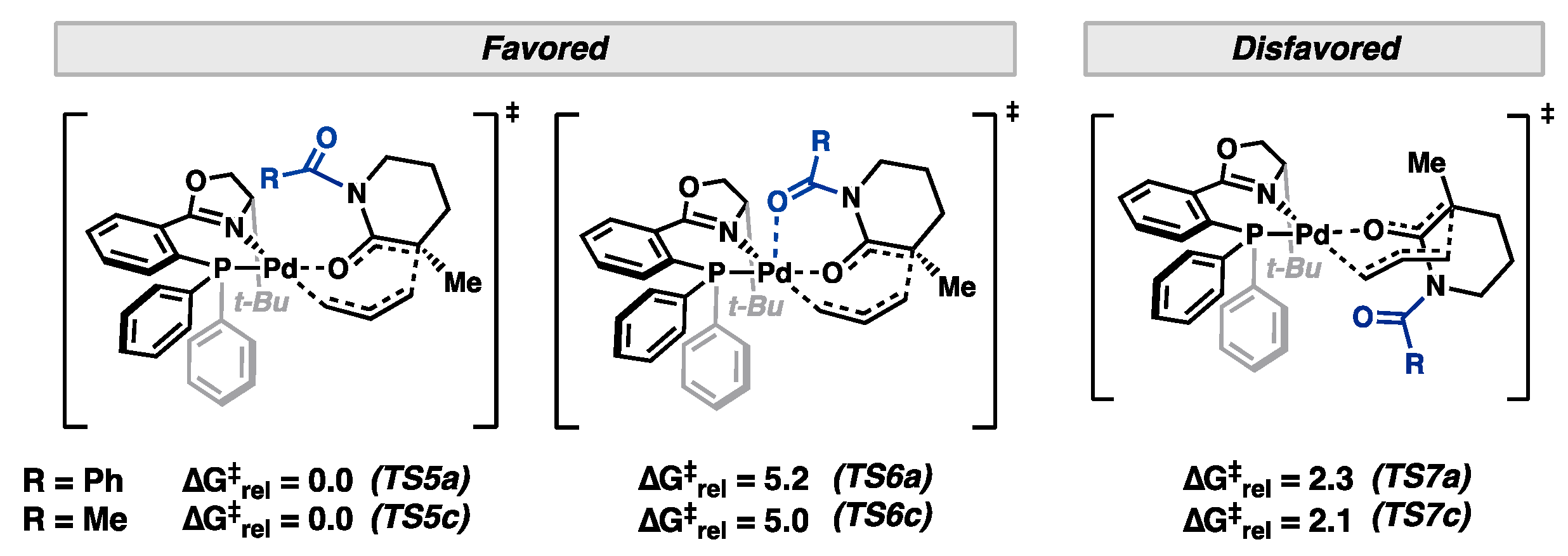 Catalysts 13 01258 g005