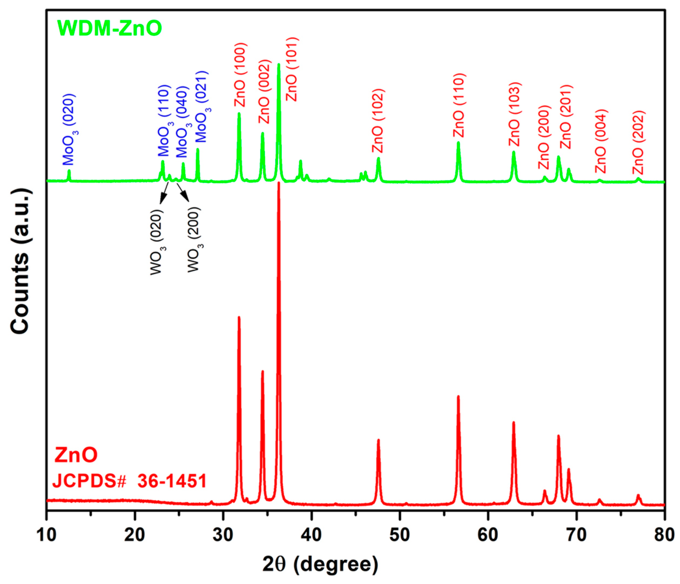 Catalysts 13 01262 g002