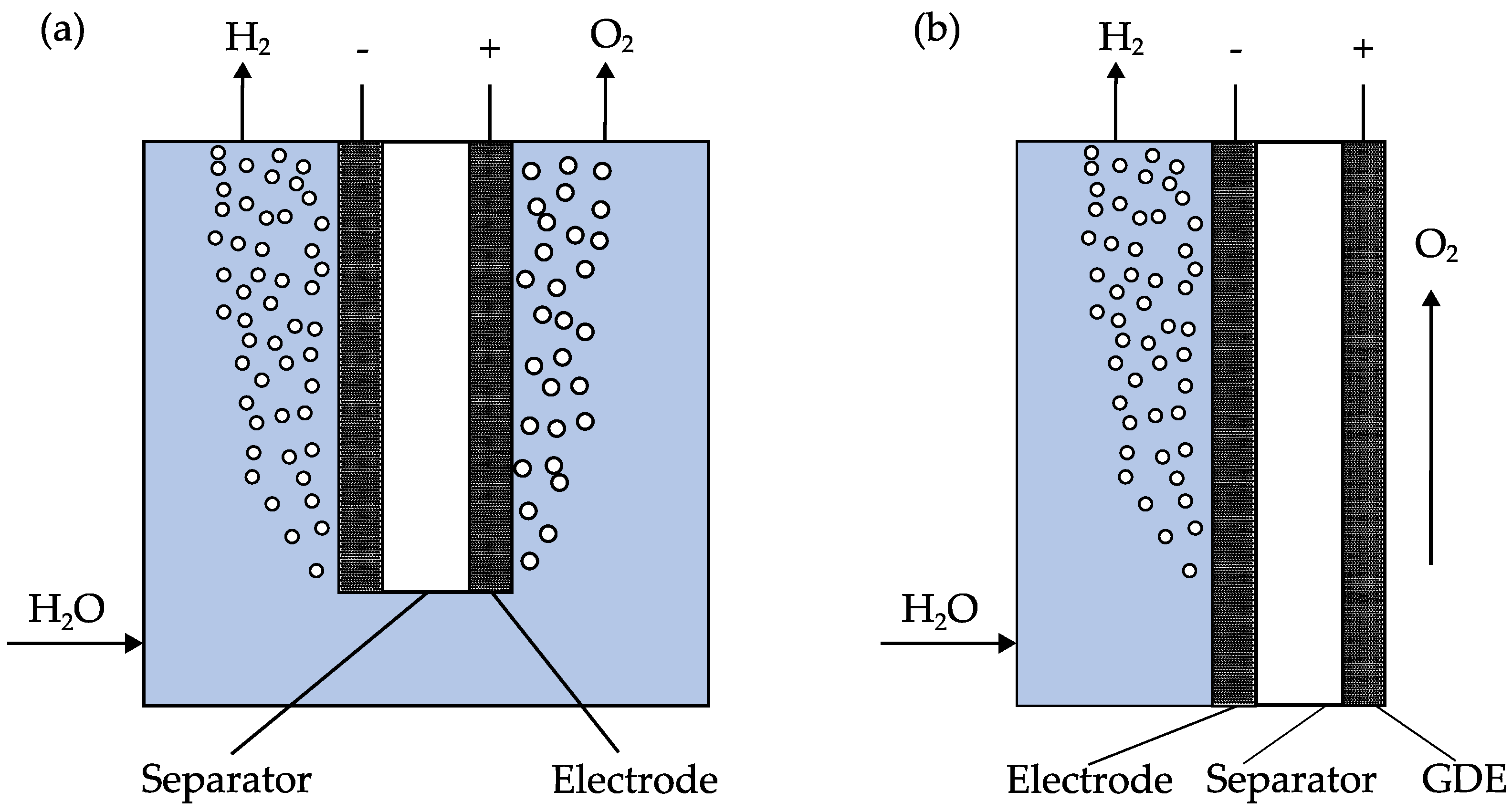 Catalysts 13 01266 g001