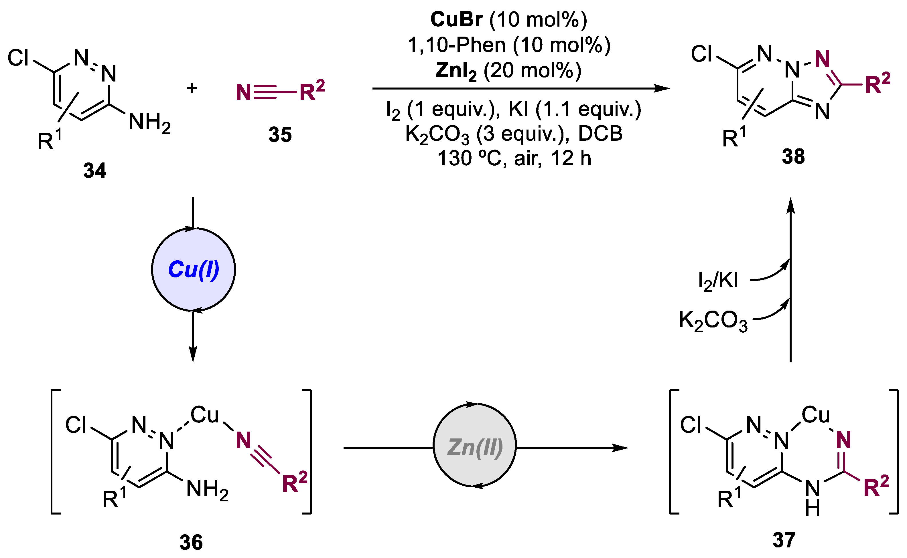 Catalysts 13 01268 sch009