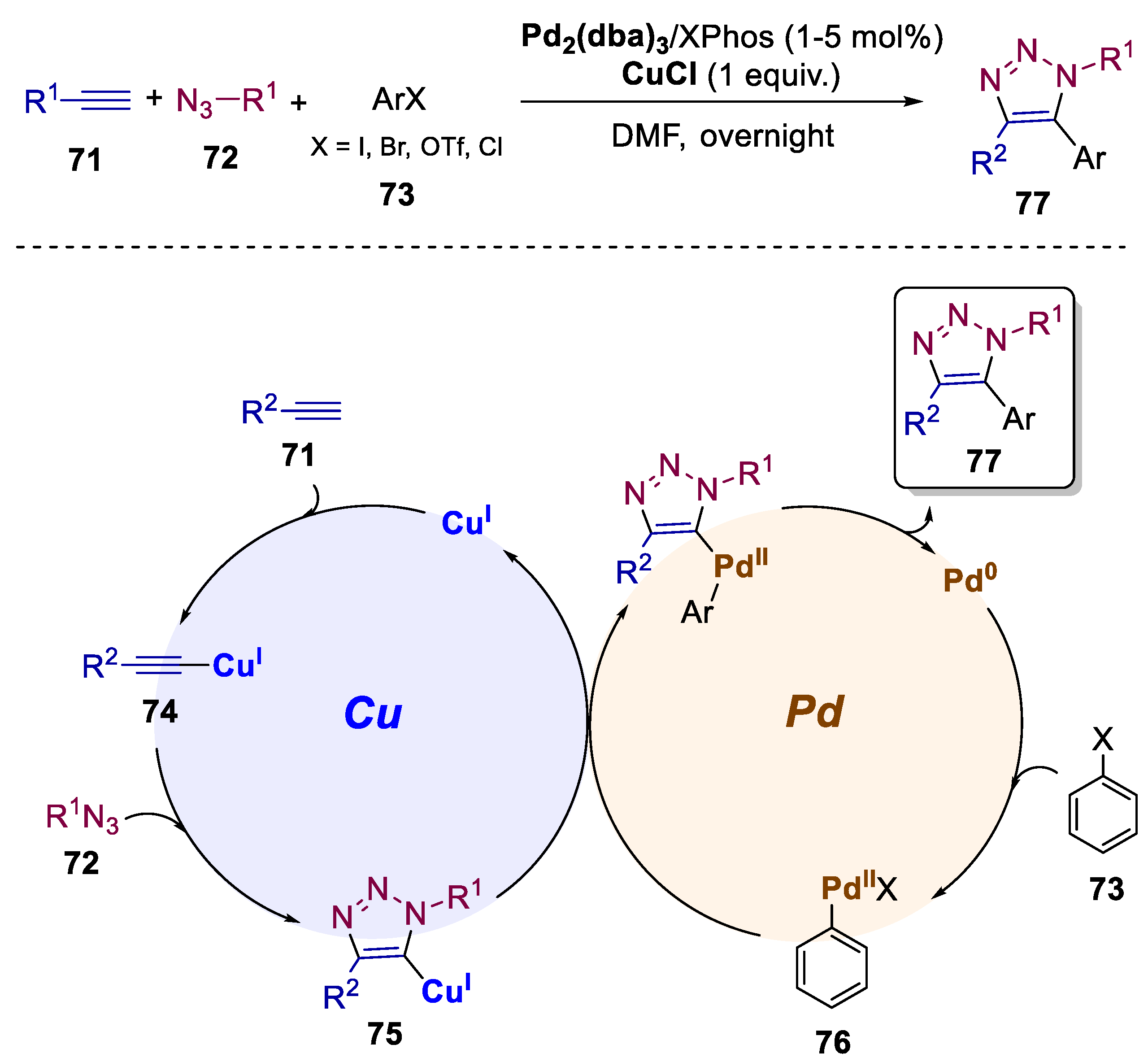 Catalysts 13 01268 sch016