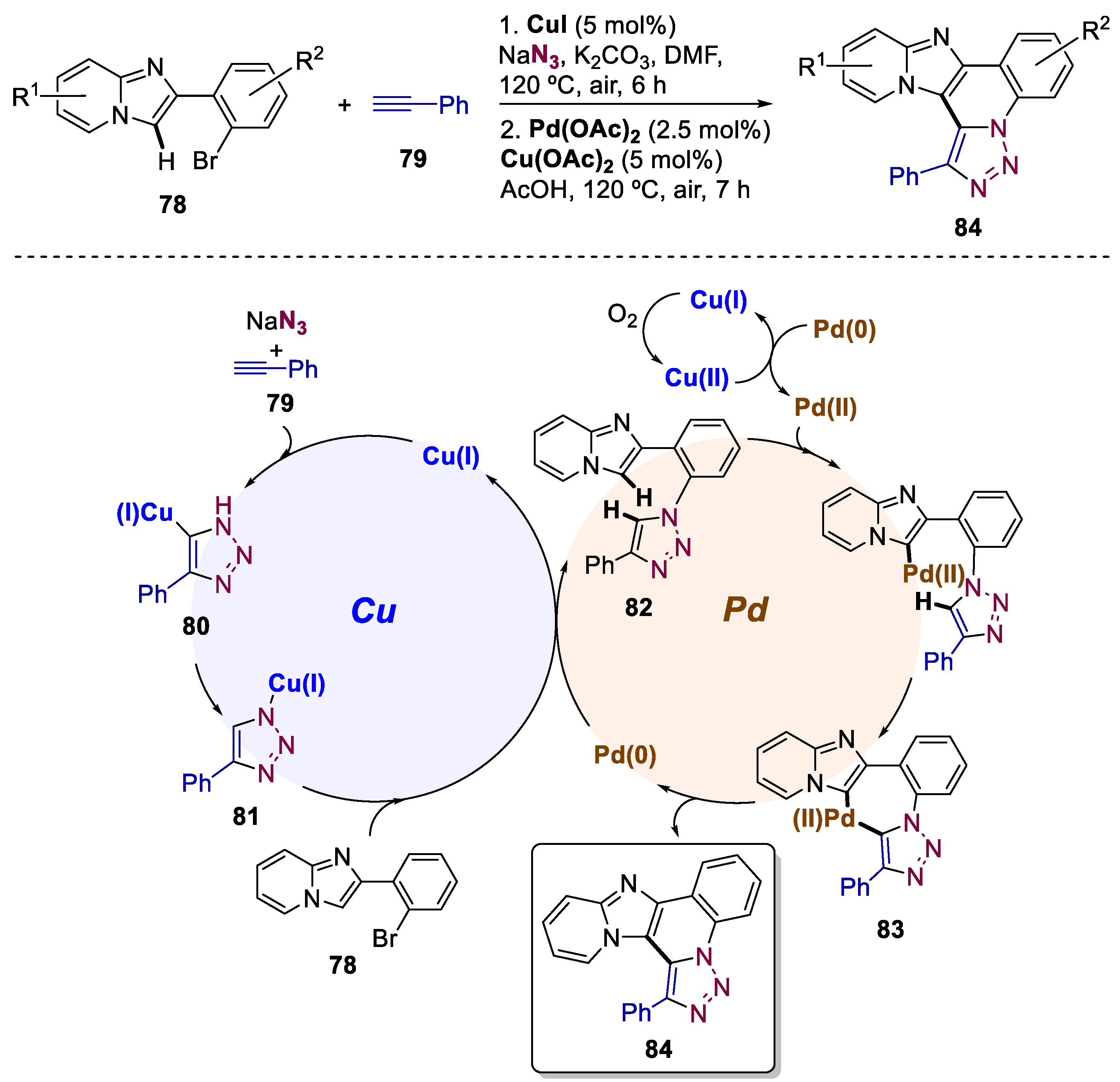 Catalysts 13 01268 sch017