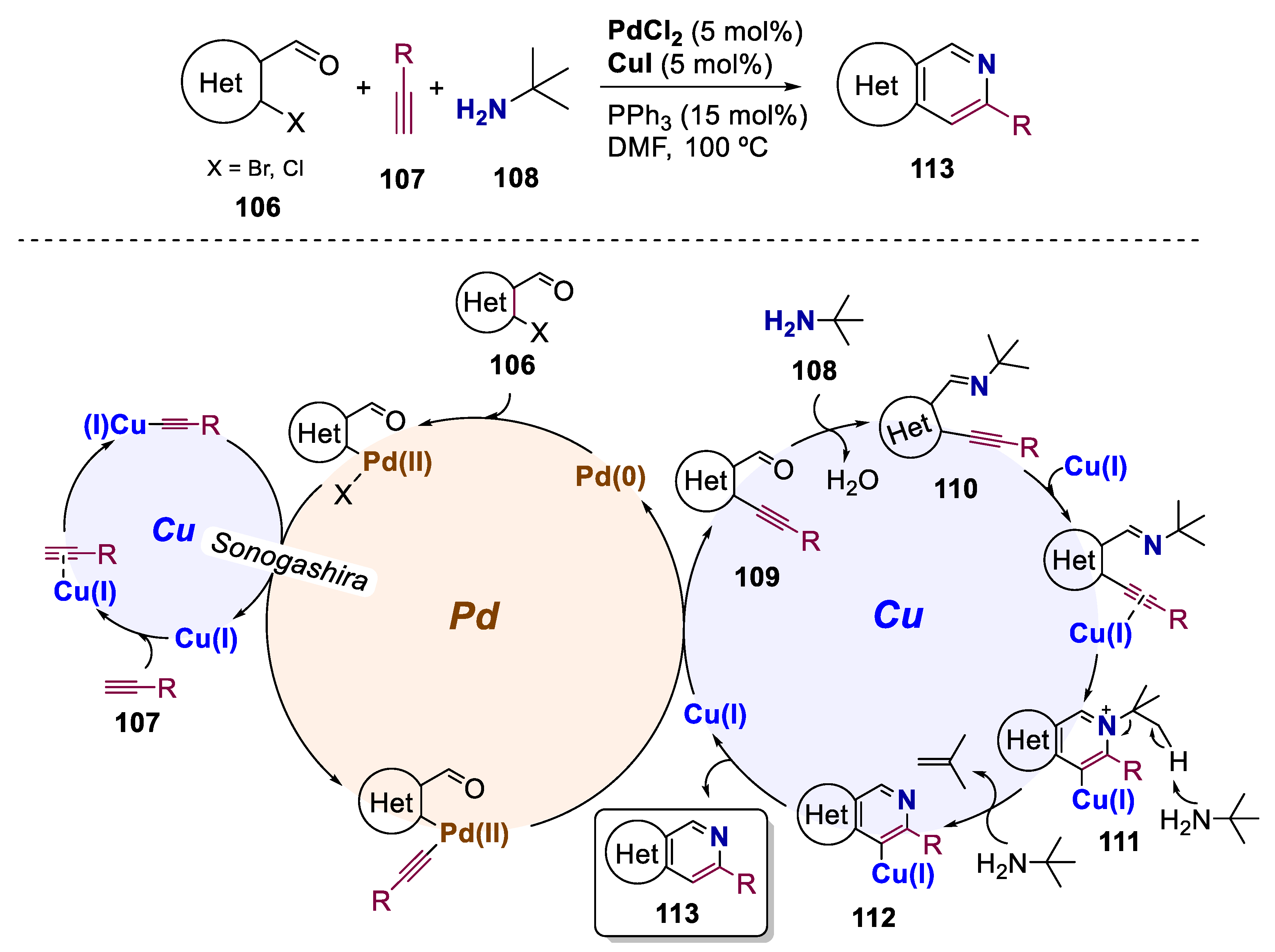 Catalysts 13 01268 sch021