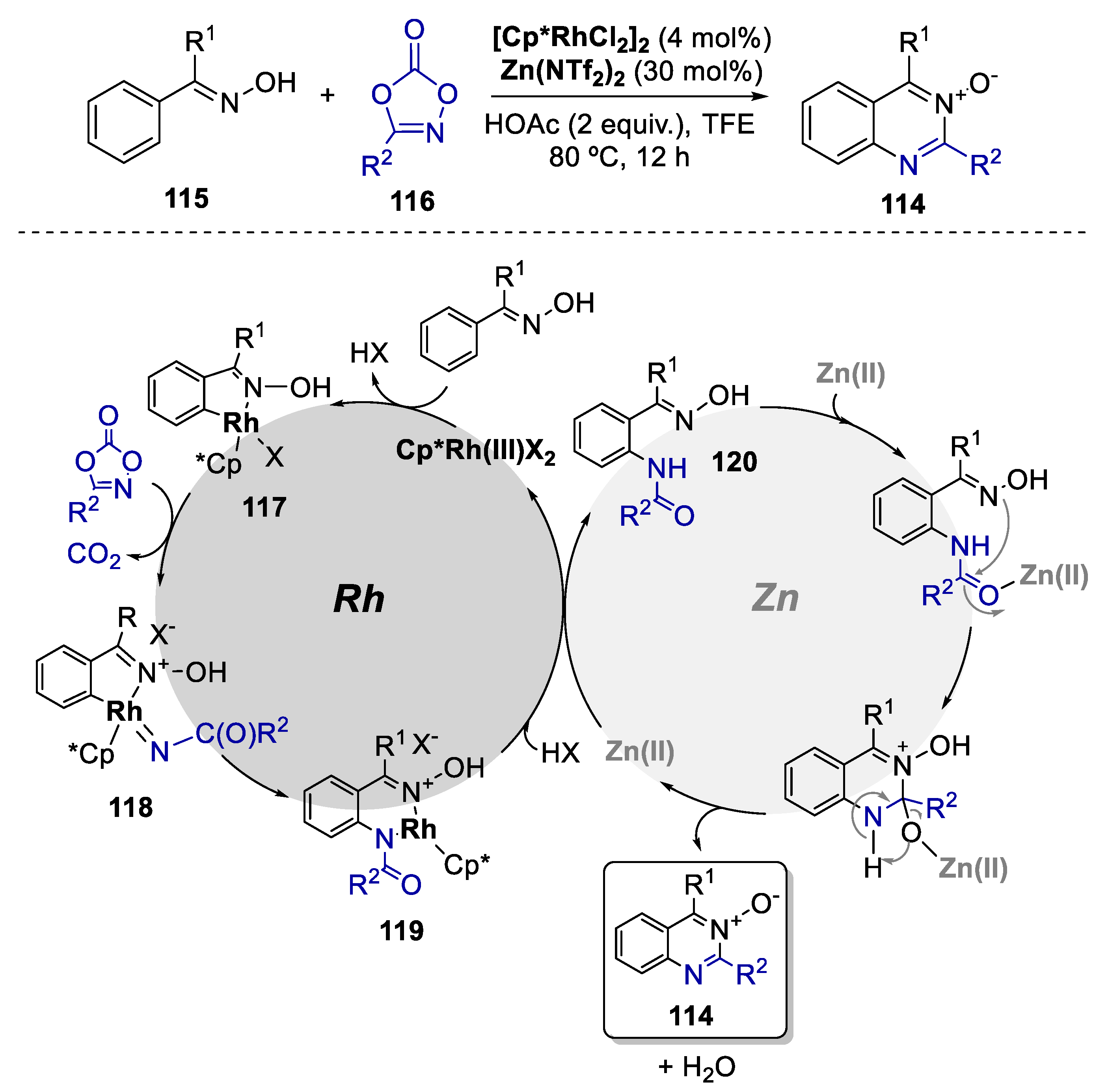 Catalysts 13 01268 sch022