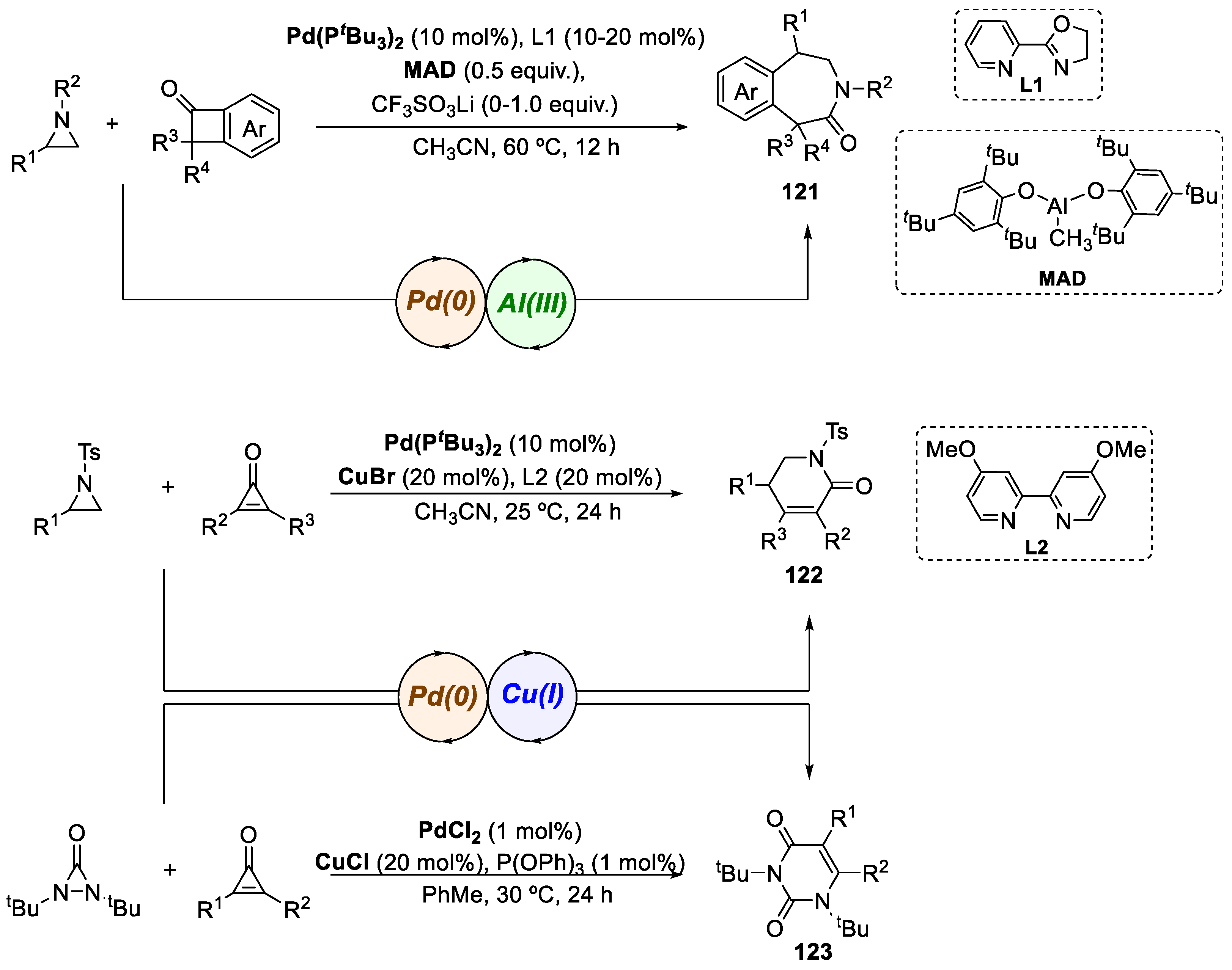 Catalysts 13 01268 sch023