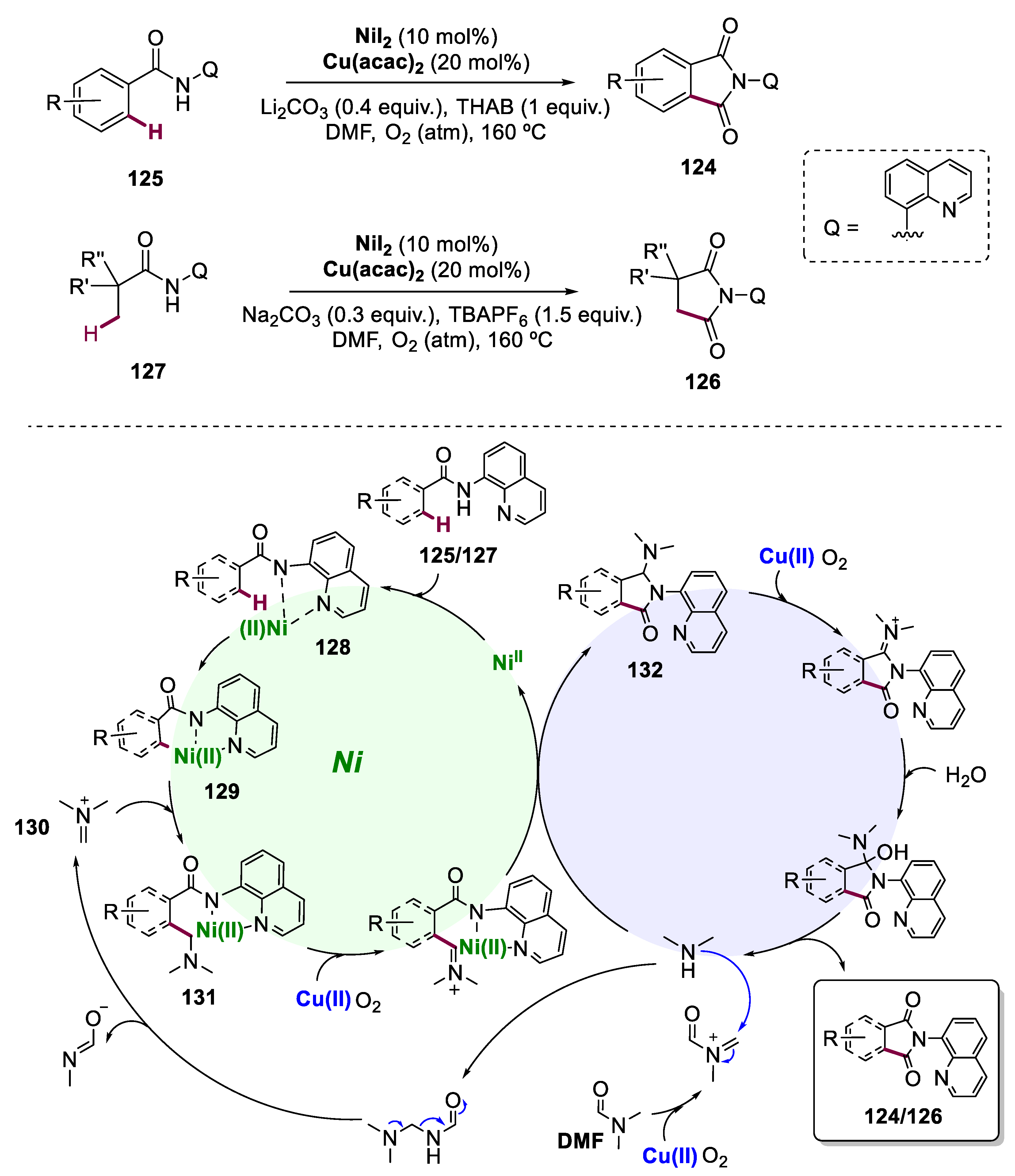 Catalysts 13 01268 sch024