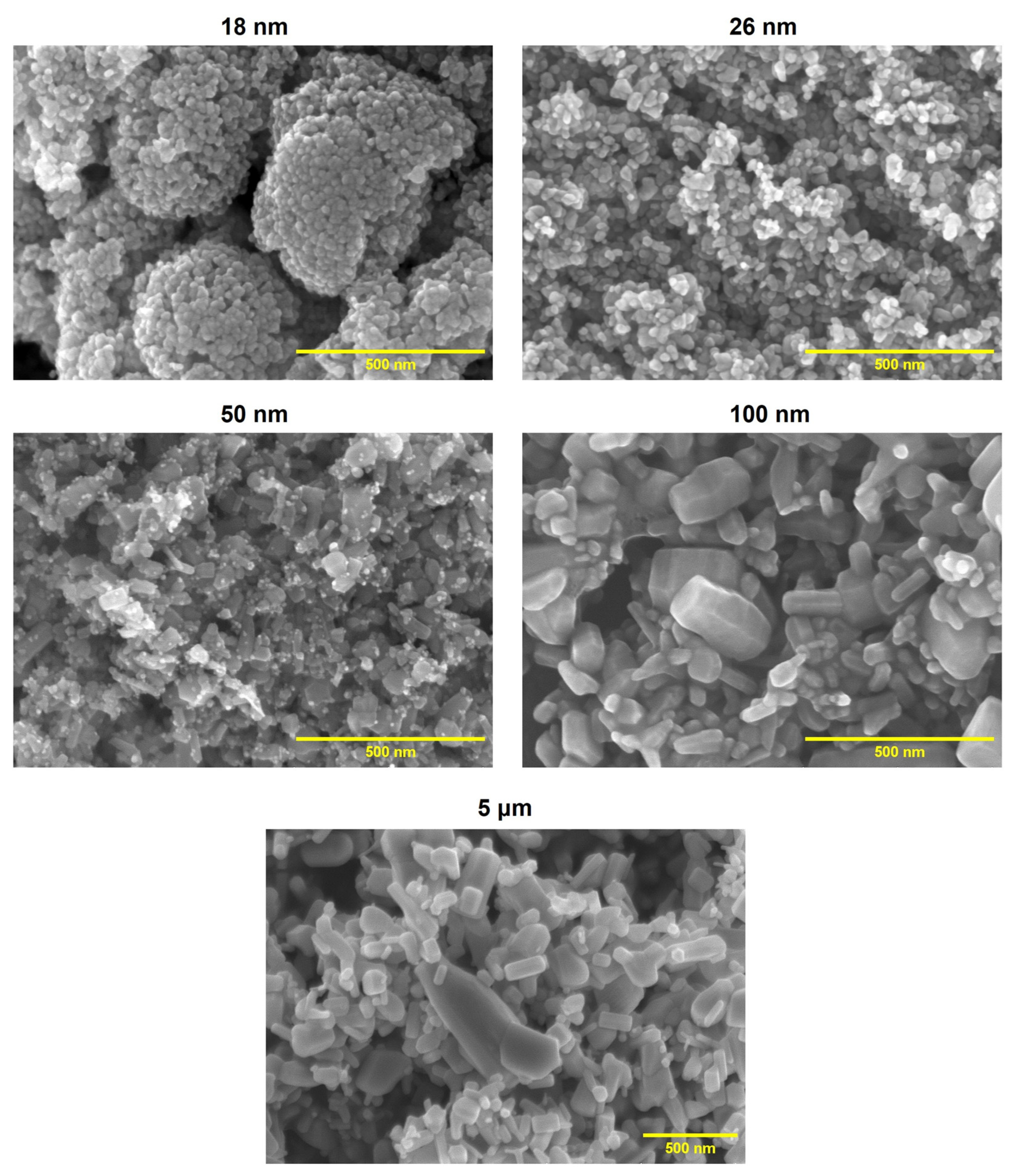 Catalysts 13 01270 g001