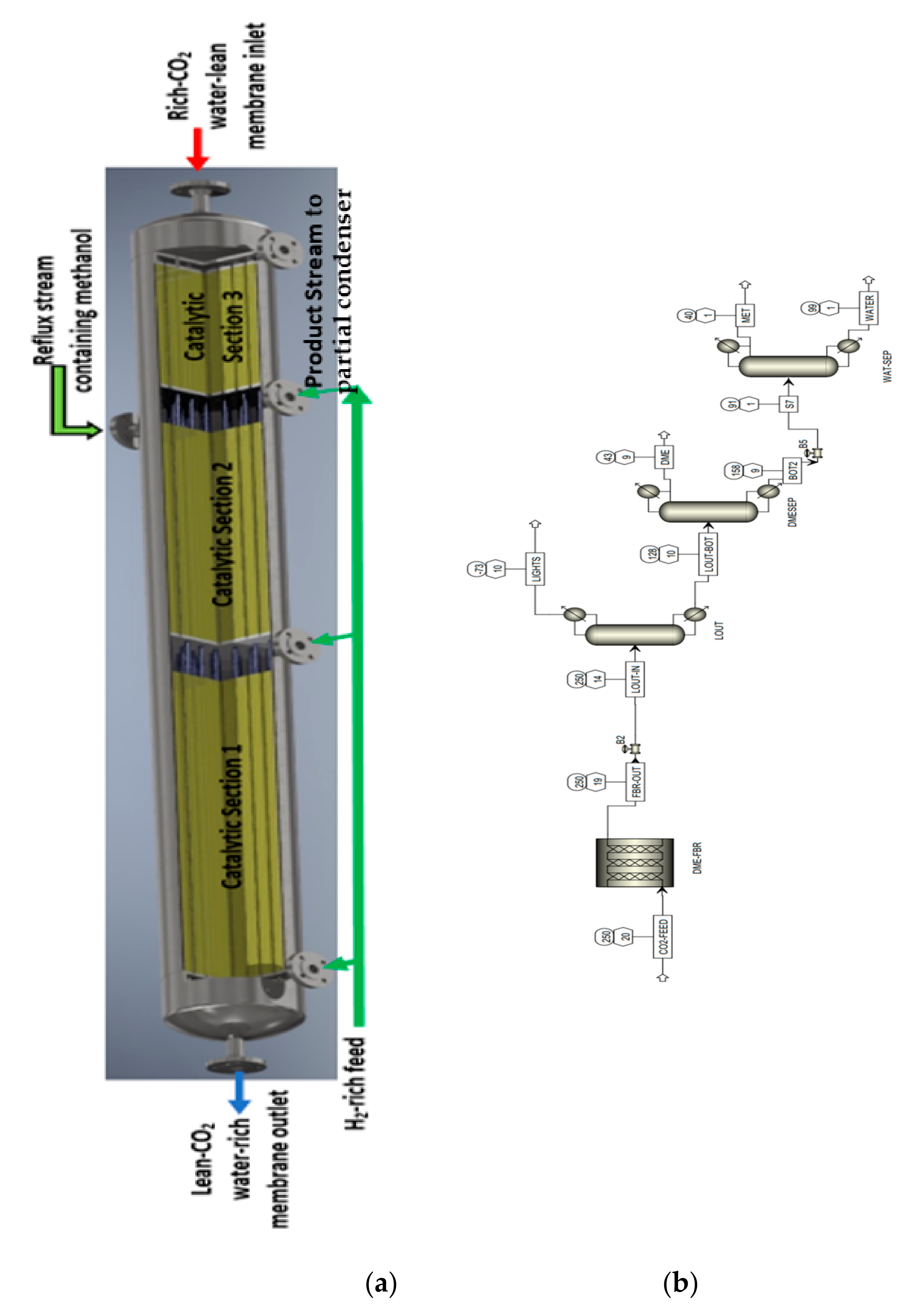 Catalysts 13 01273 g006