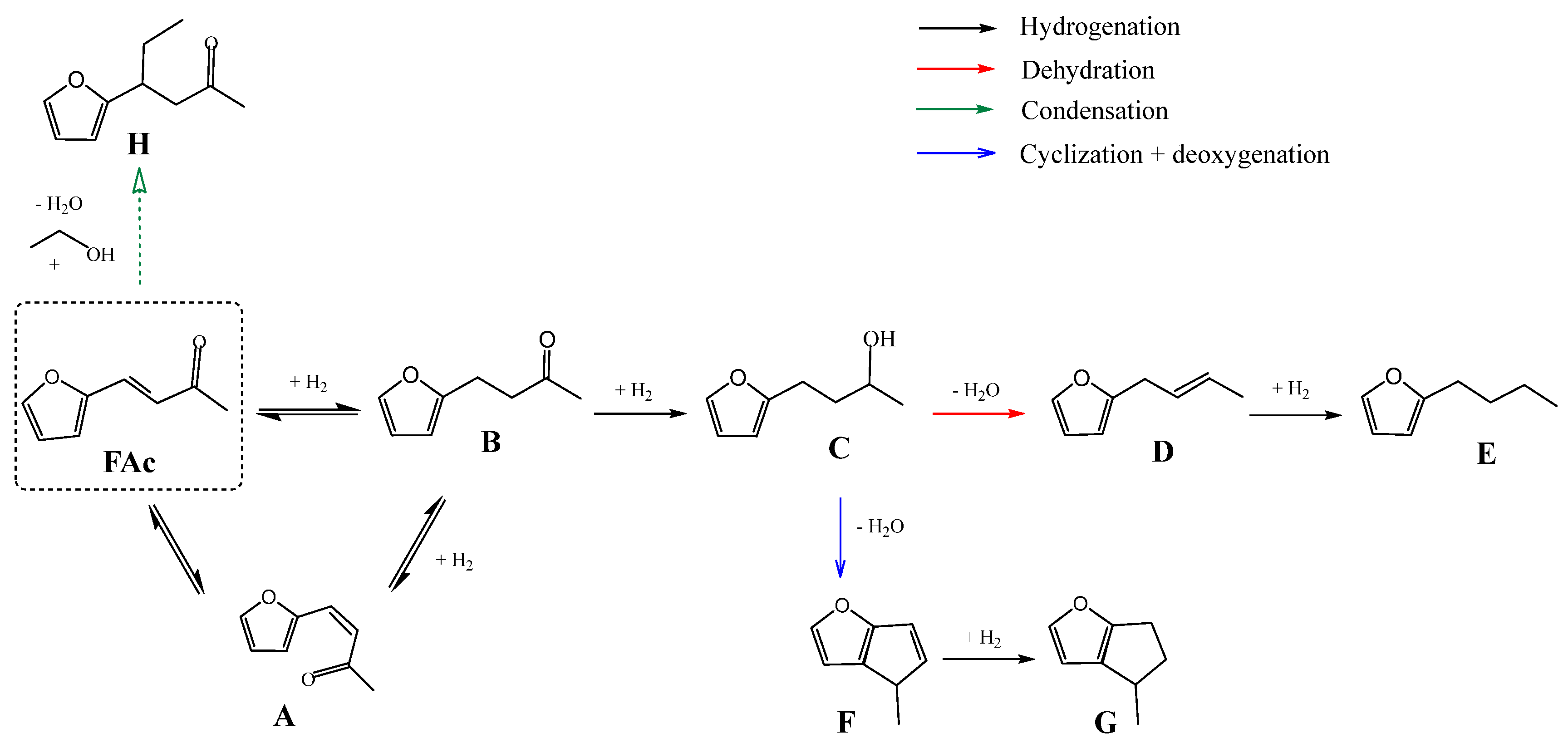 Catalysts 13 01276 sch001