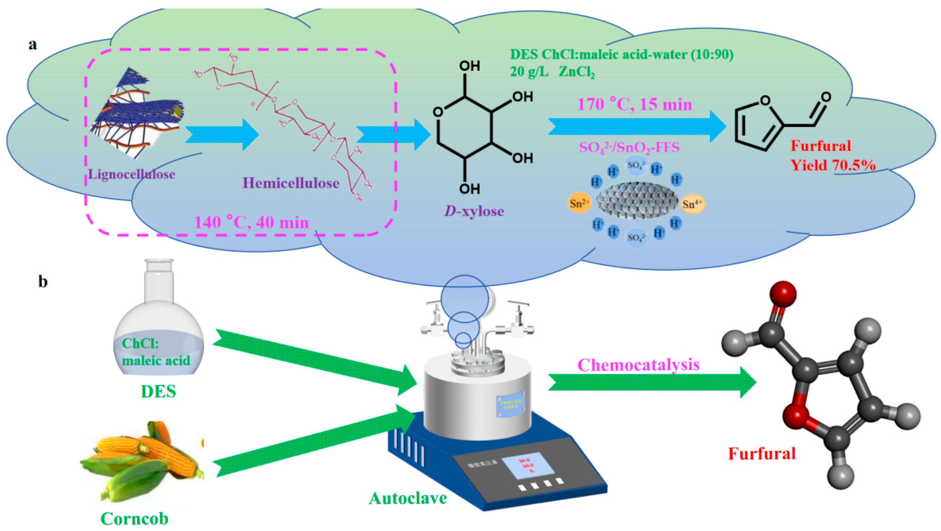 Catalysts 13 01277 g001