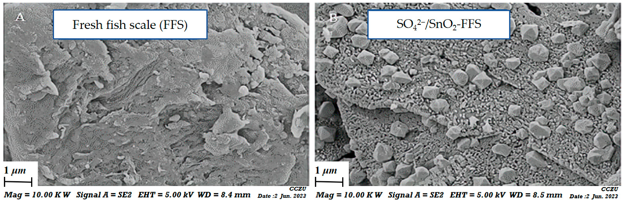 Catalysts 13 01277 g002
