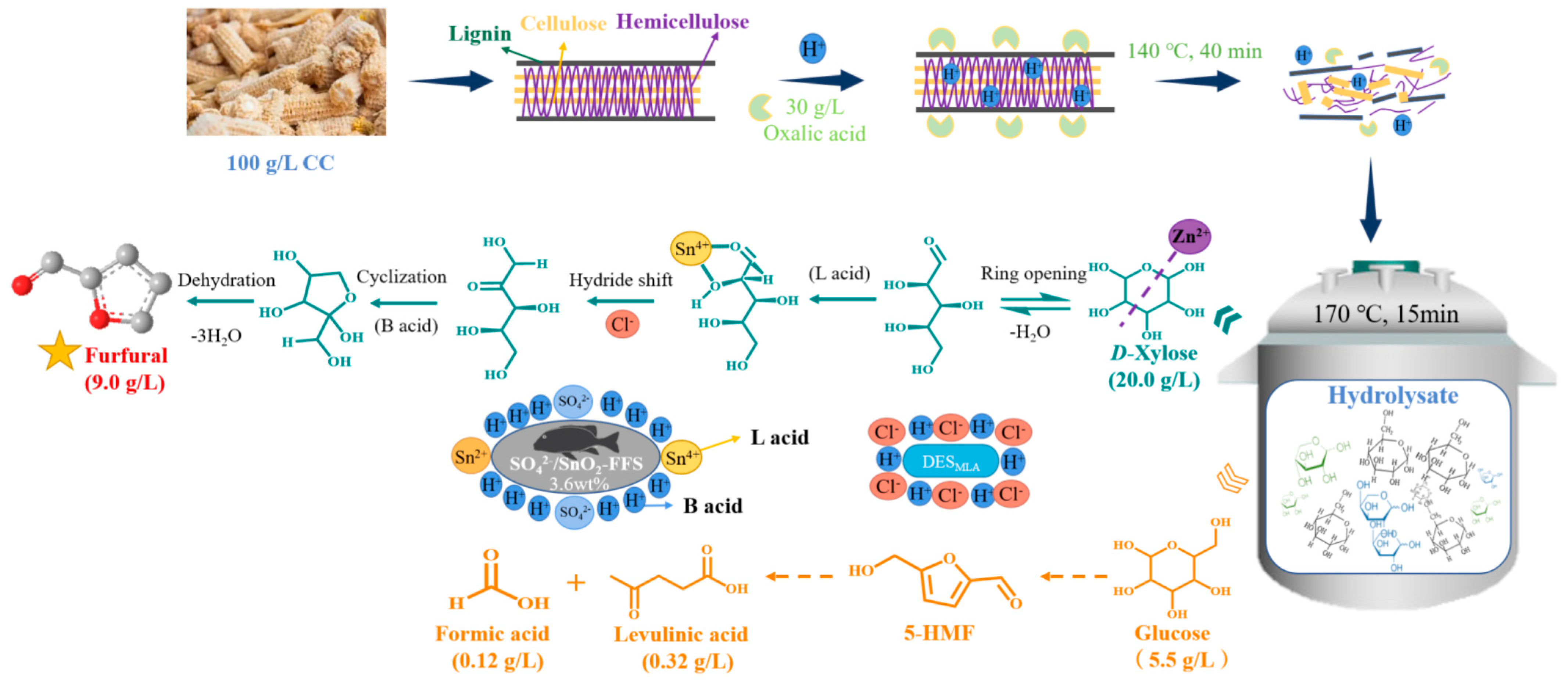 Catalysts 13 01277 g012