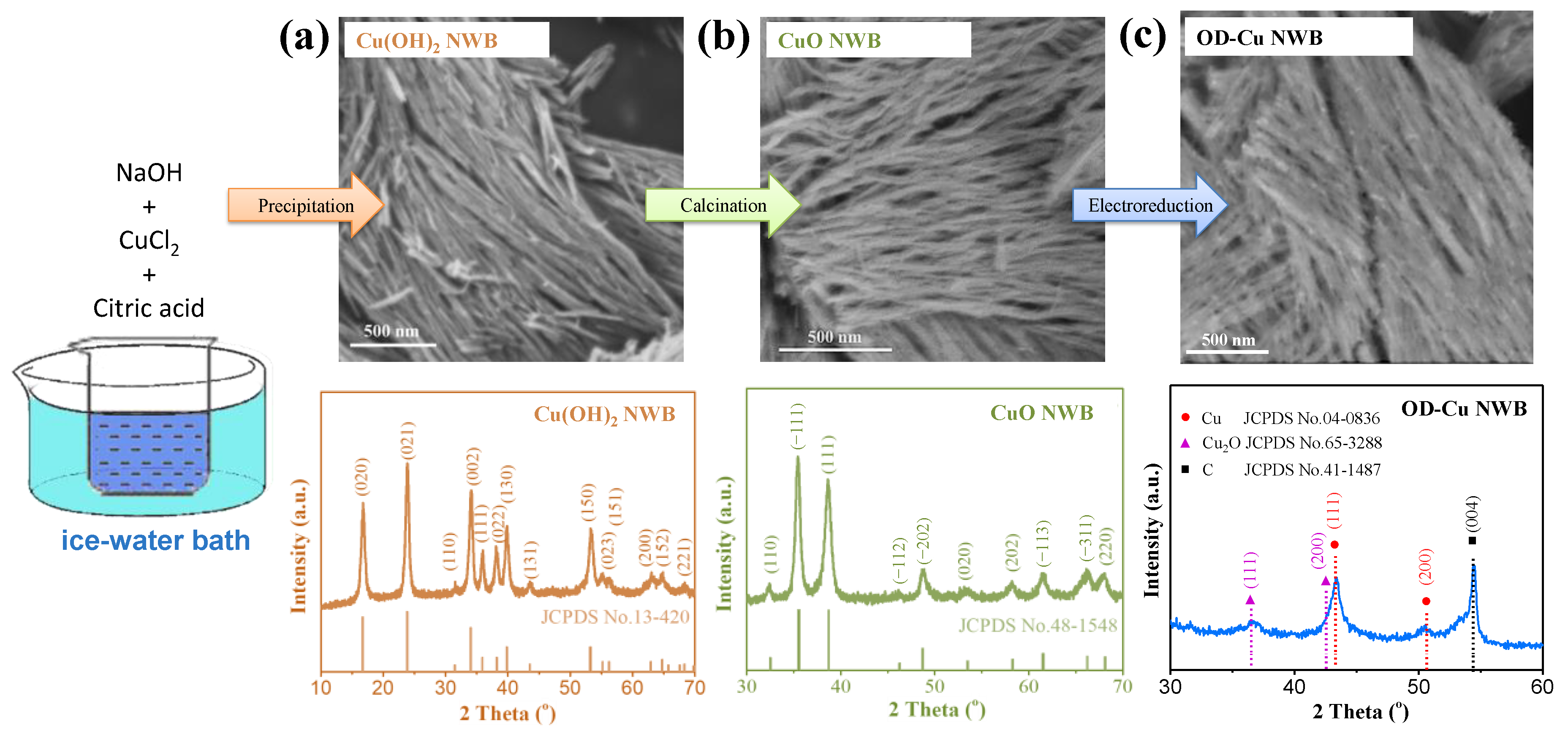 Catalysts 13 01278 g001