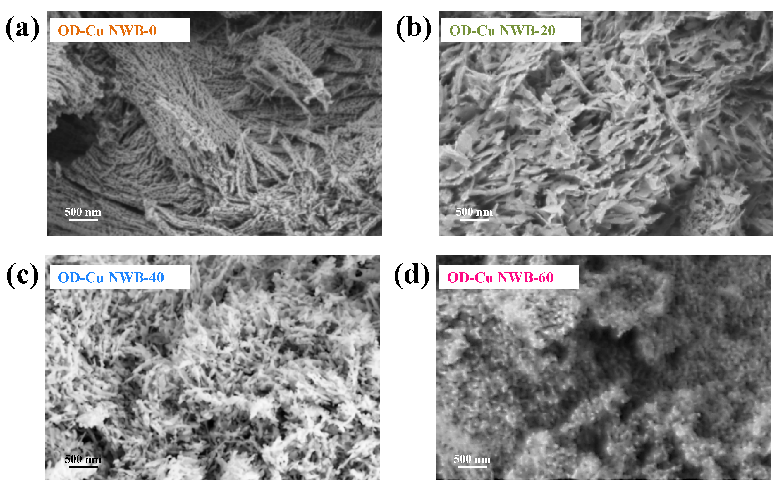 Catalysts 13 01278 g003