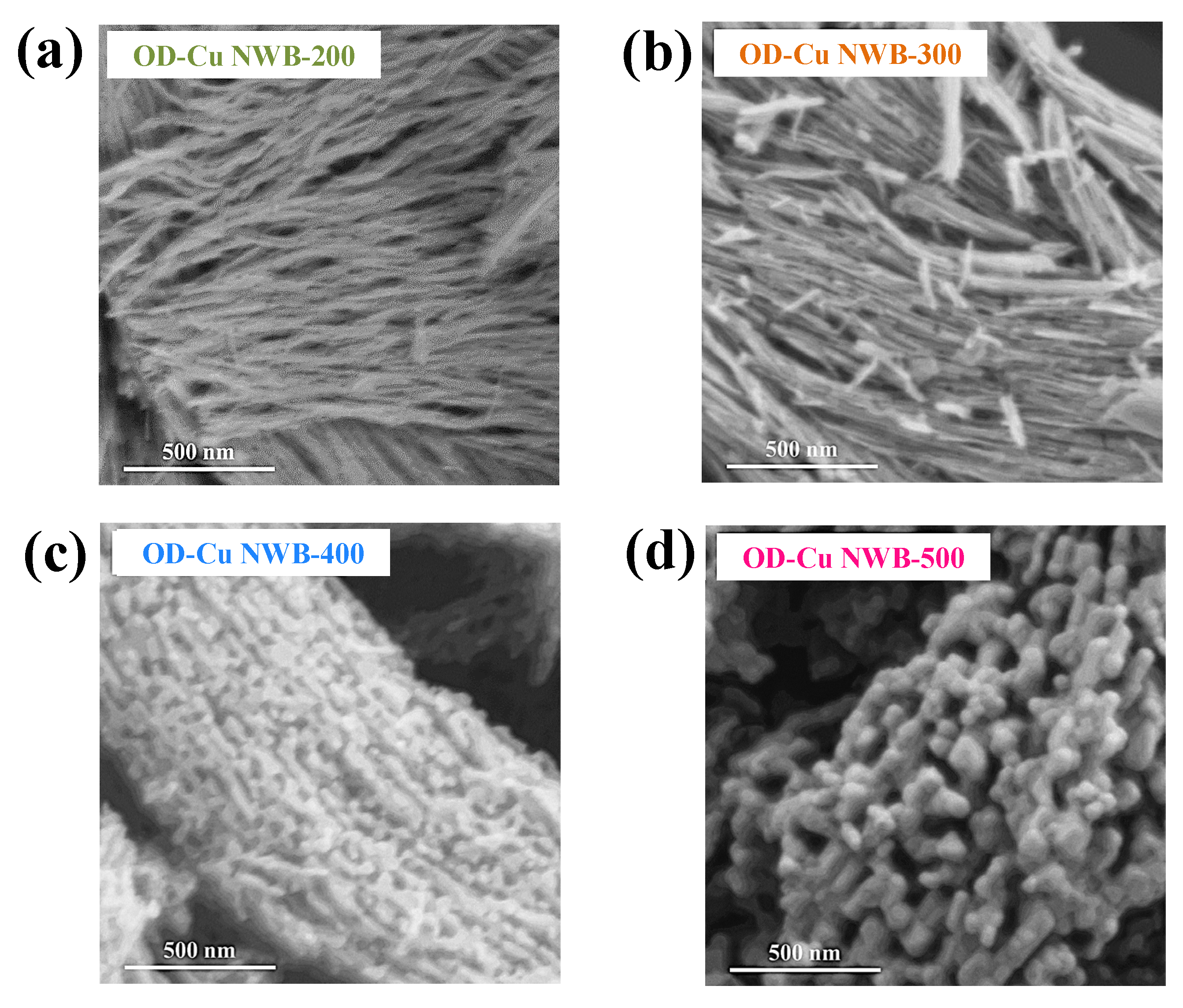 Catalysts 13 01278 g005