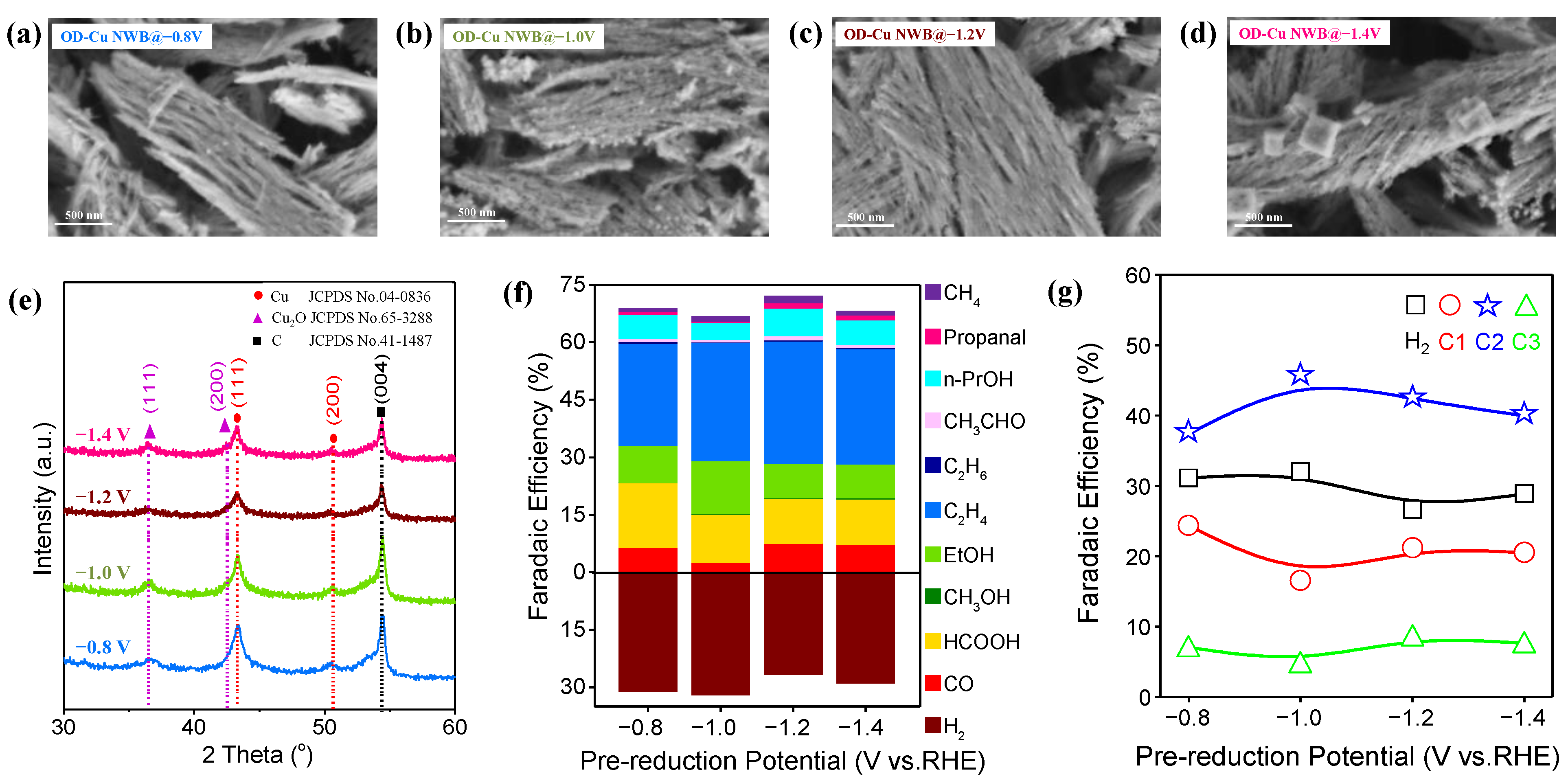Catalysts 13 01278 g007
