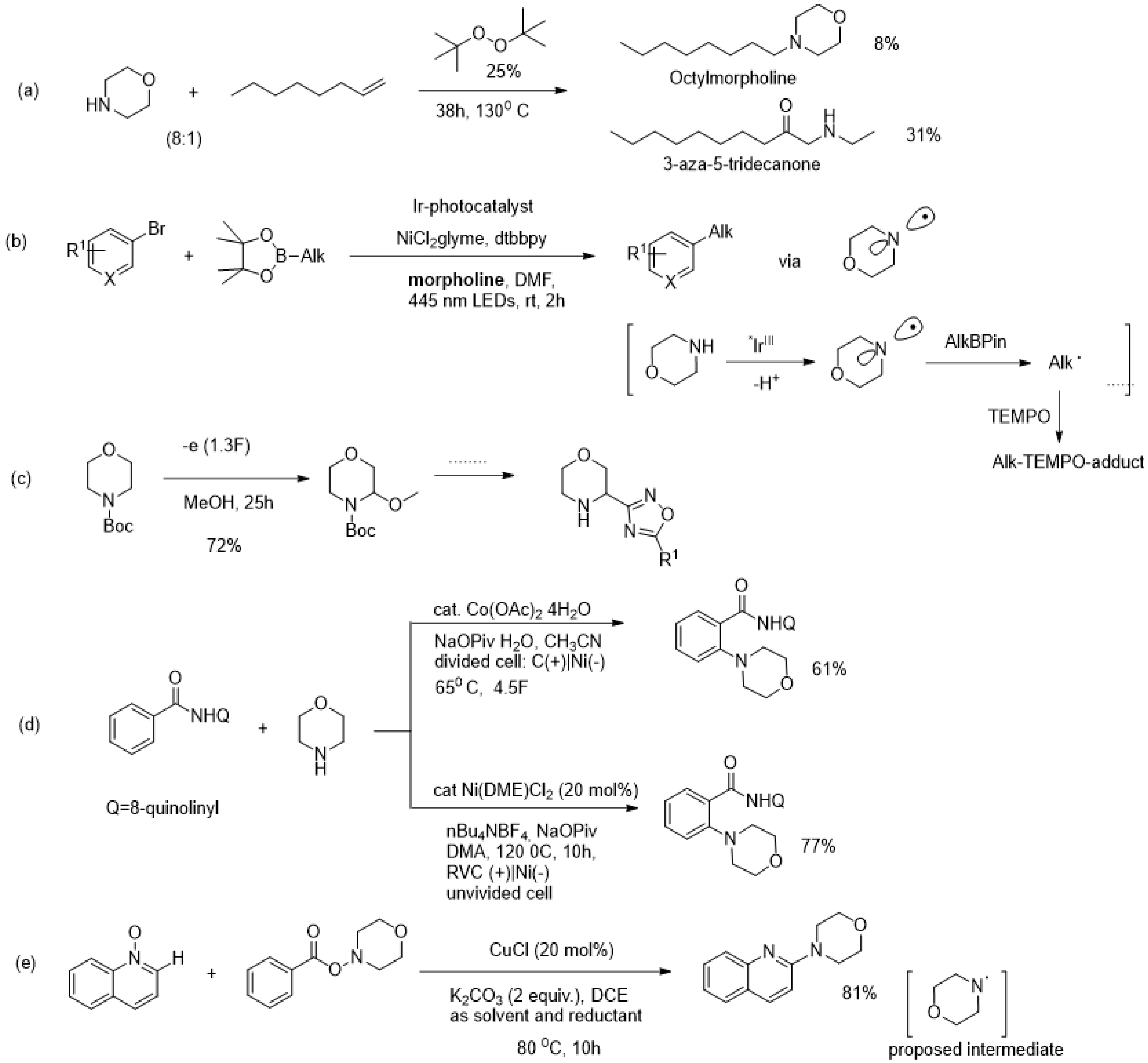 Catalysts 13 01279 sch001